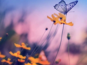 blur, butterfly, Flowers