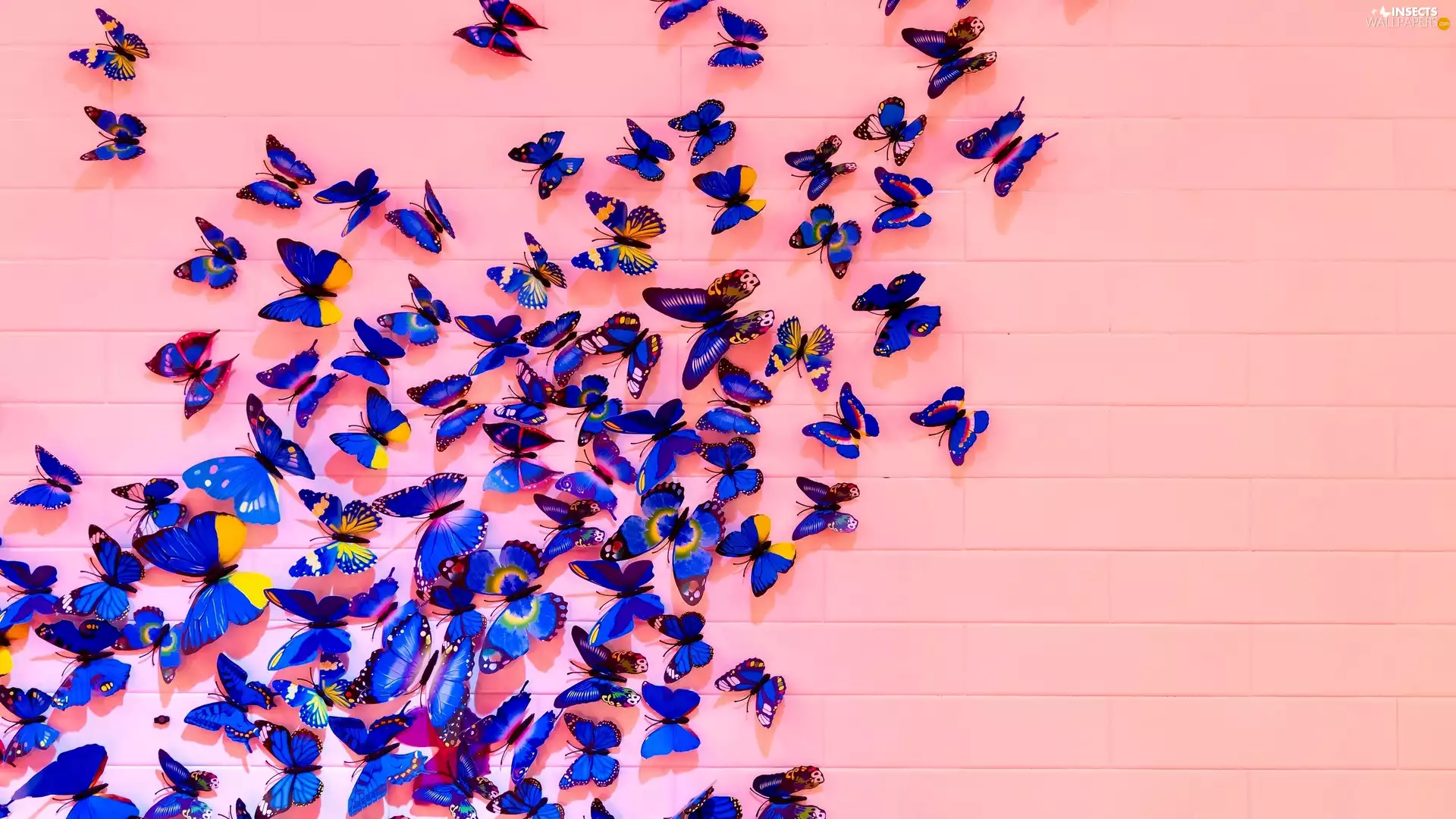 Blue, 2D, boarding, butterflies, Pink