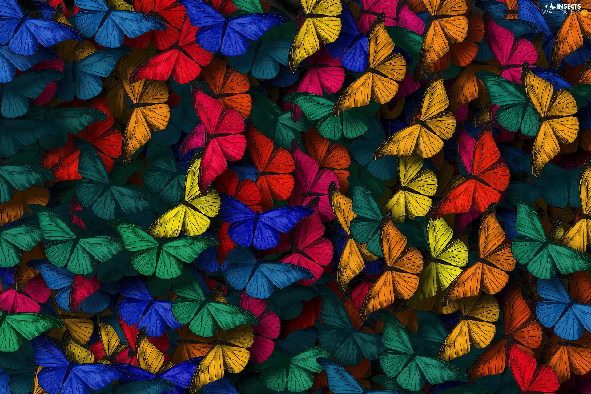 2D, color, butterflies