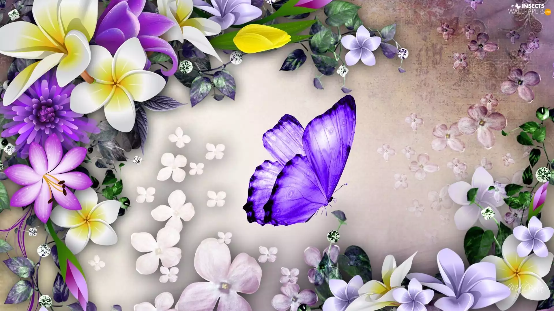graphics, Flowers, butterfly, 2D
