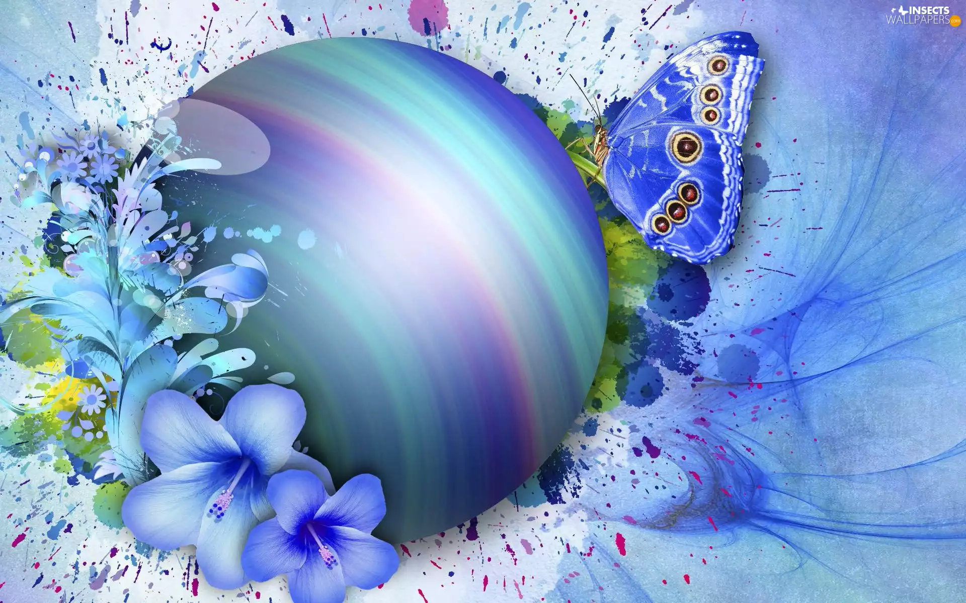 blue, Coloured, Flowers, 2D, butterfly, Orb