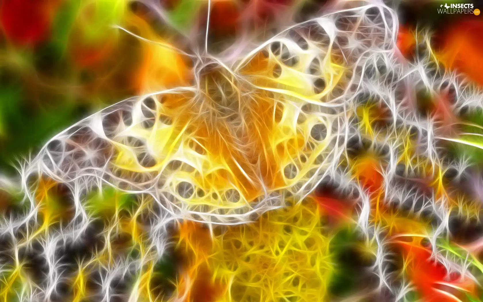 3D, color, butterfly