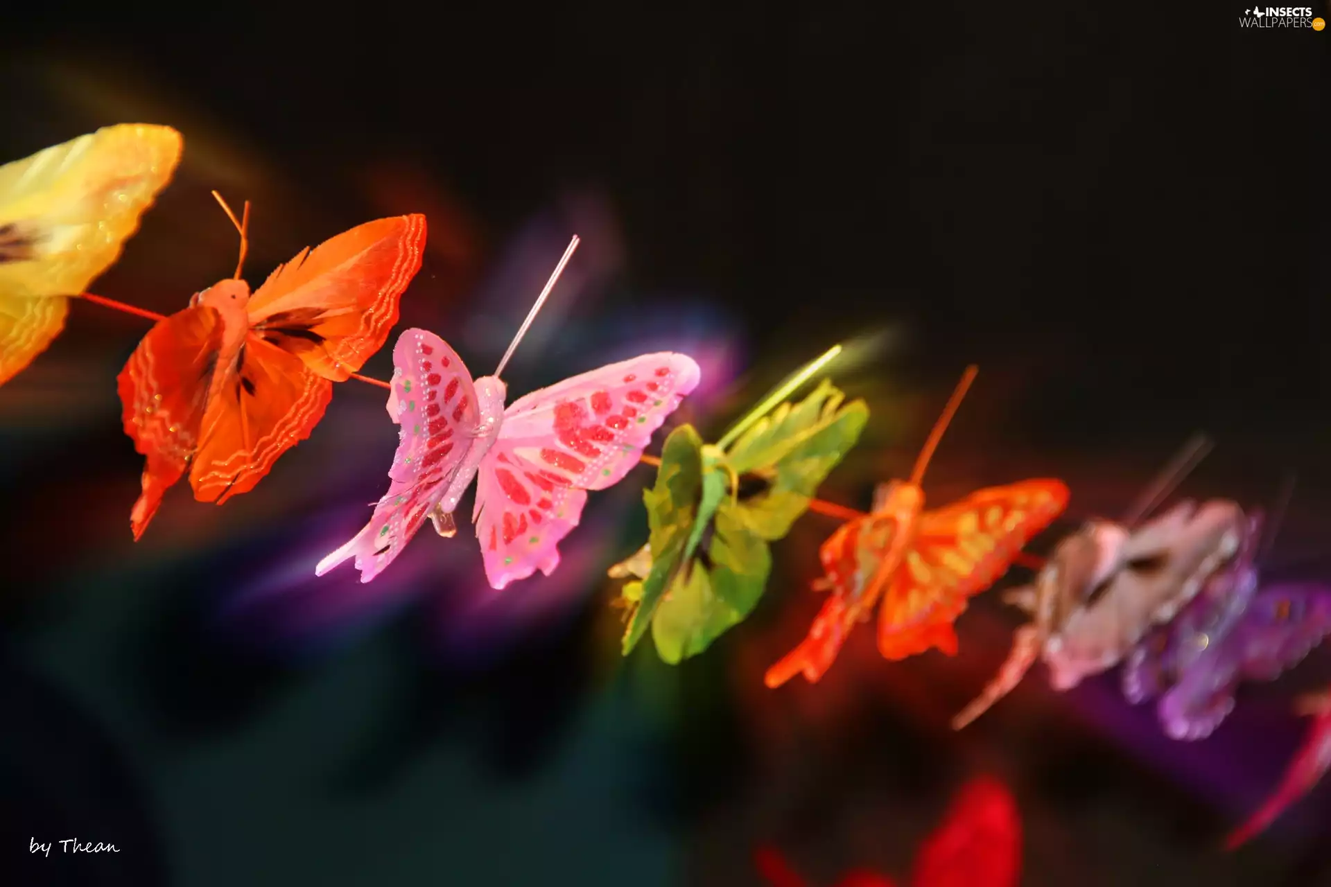 butterfly, thread, decoration, an