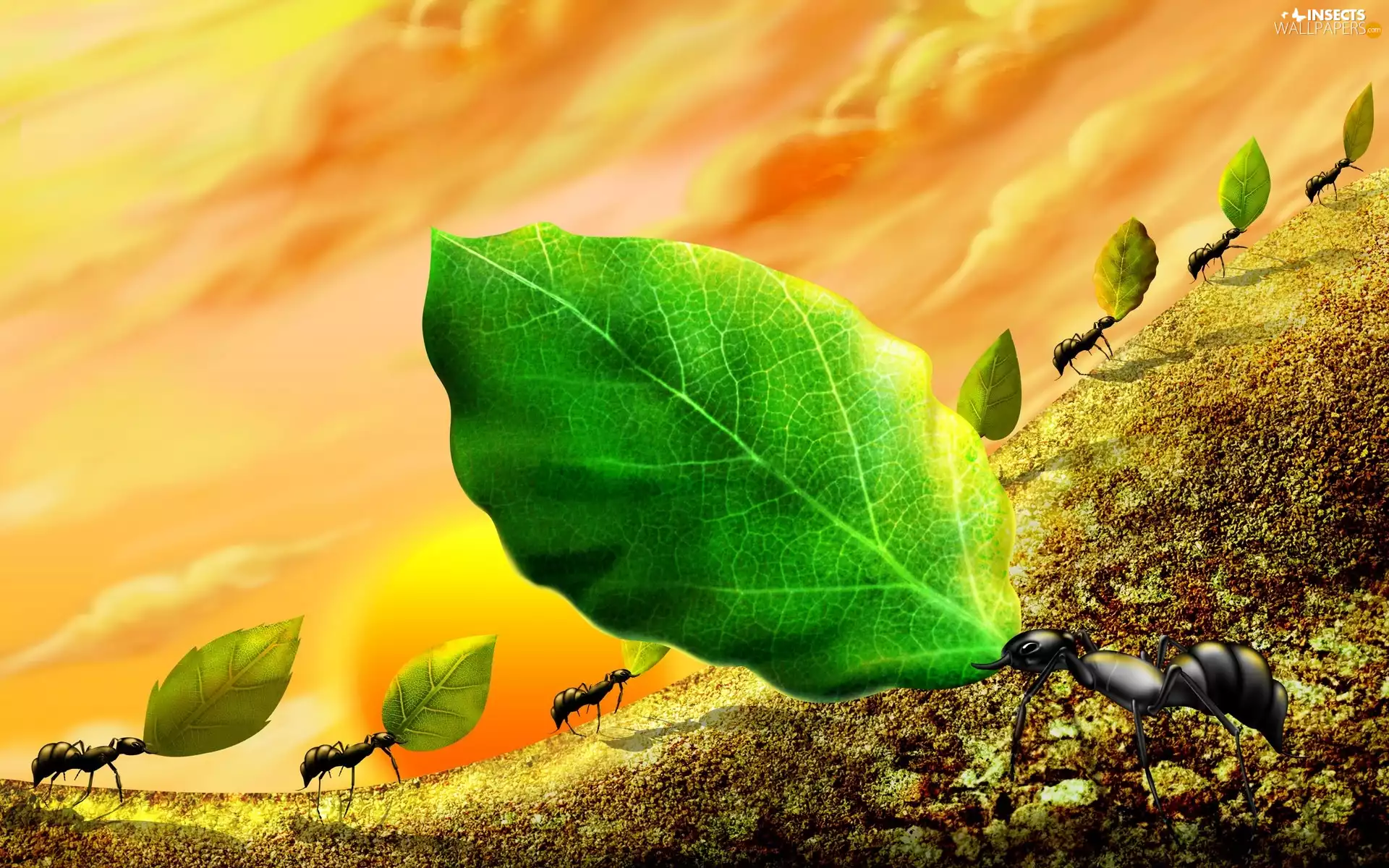 Art, ants, Leaf
