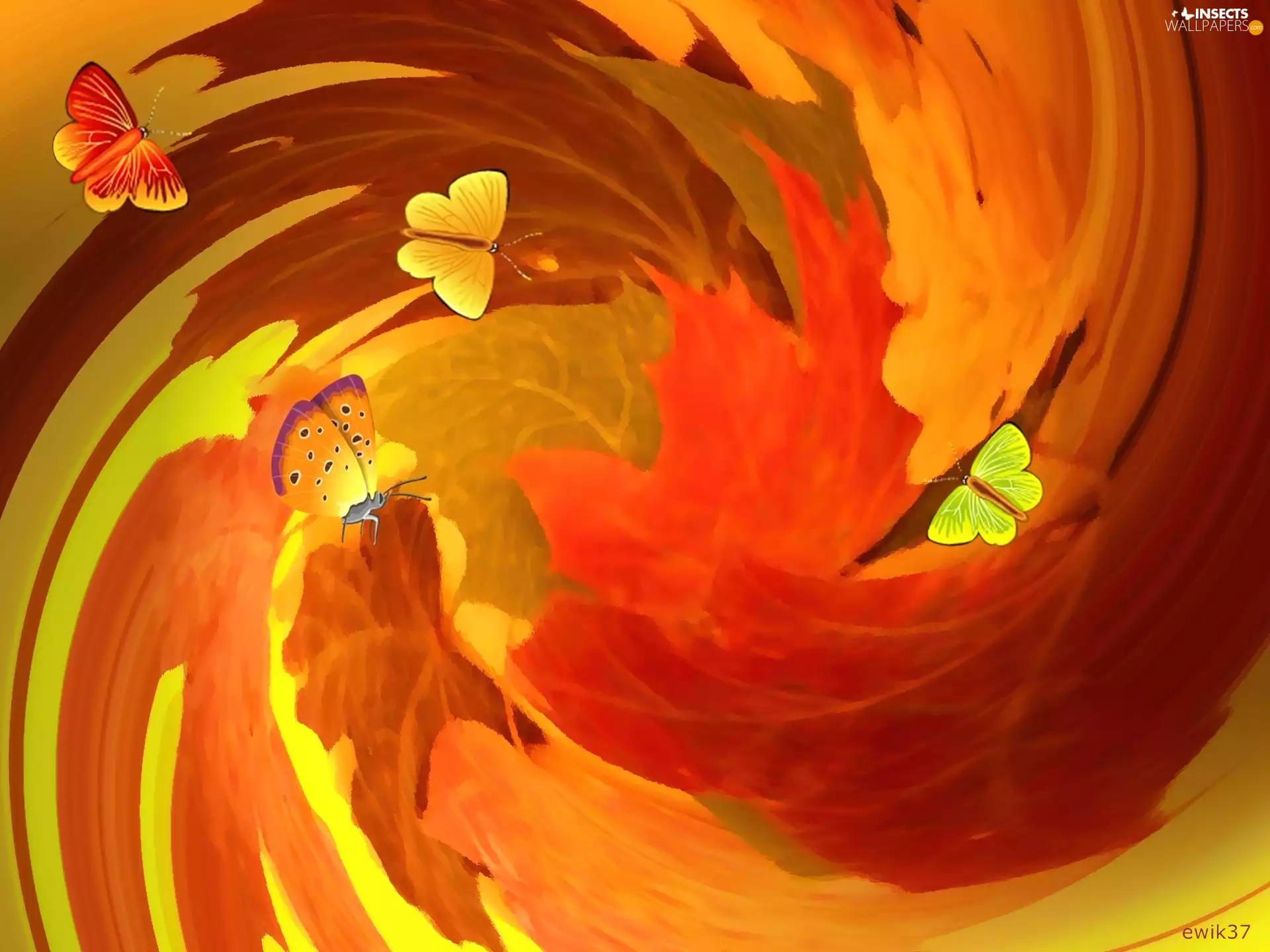 color, background, Autumn, butterflies, Leaf