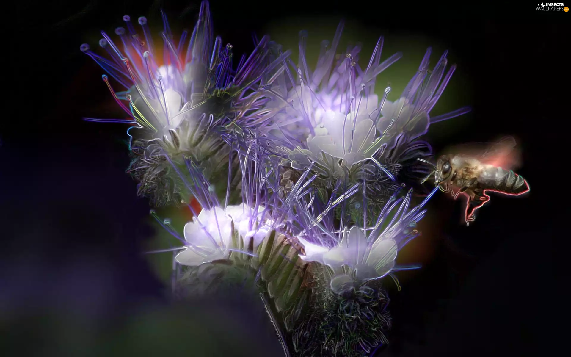 Fractalius, Colourfull Flowers, bee
