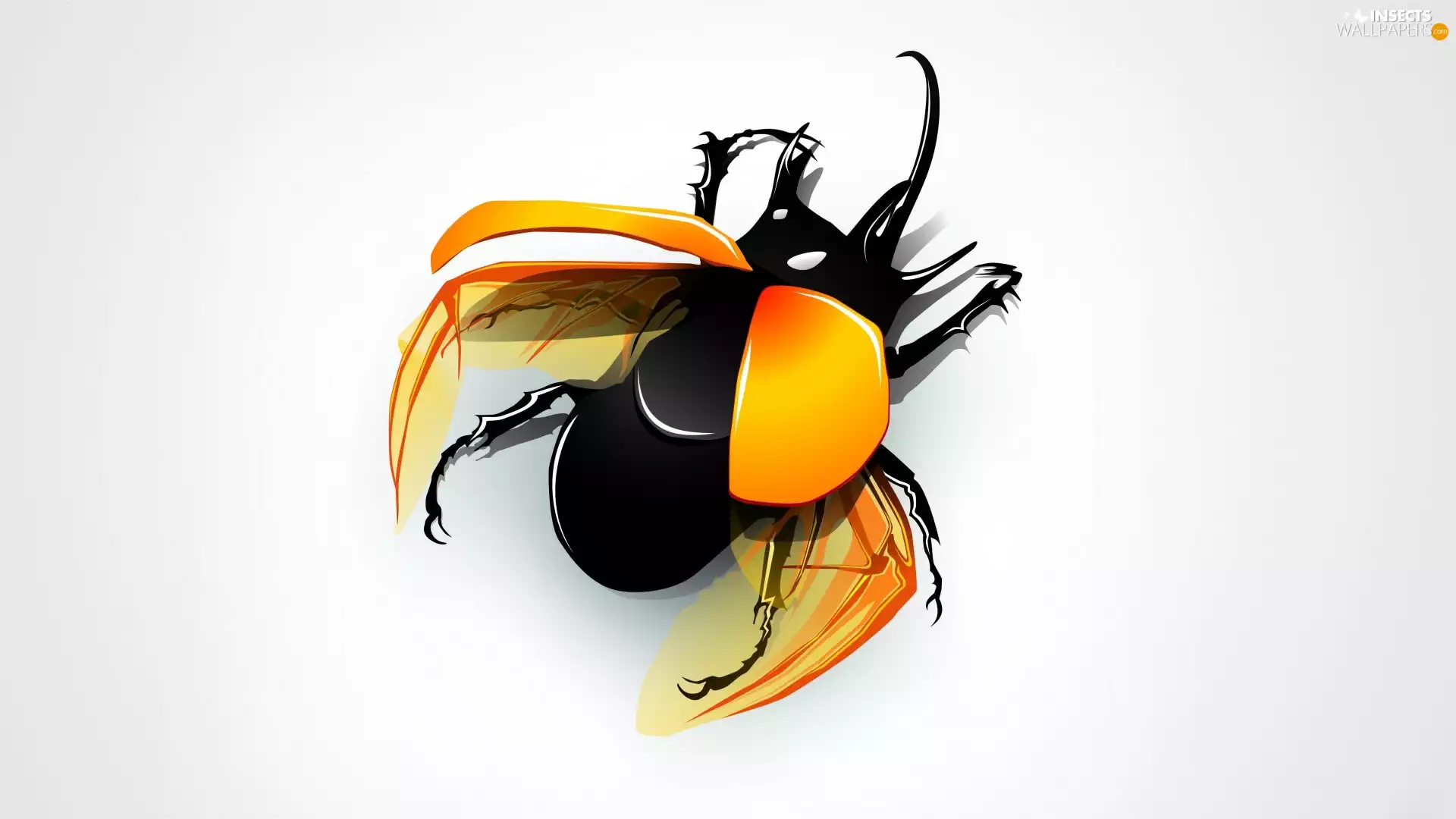 beetle, 3D