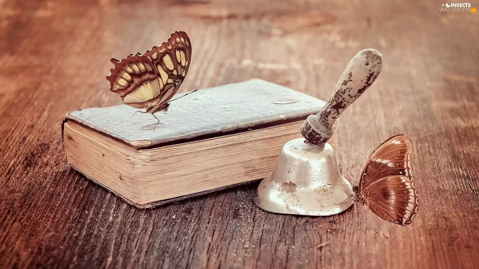 bell, Book, butterflies