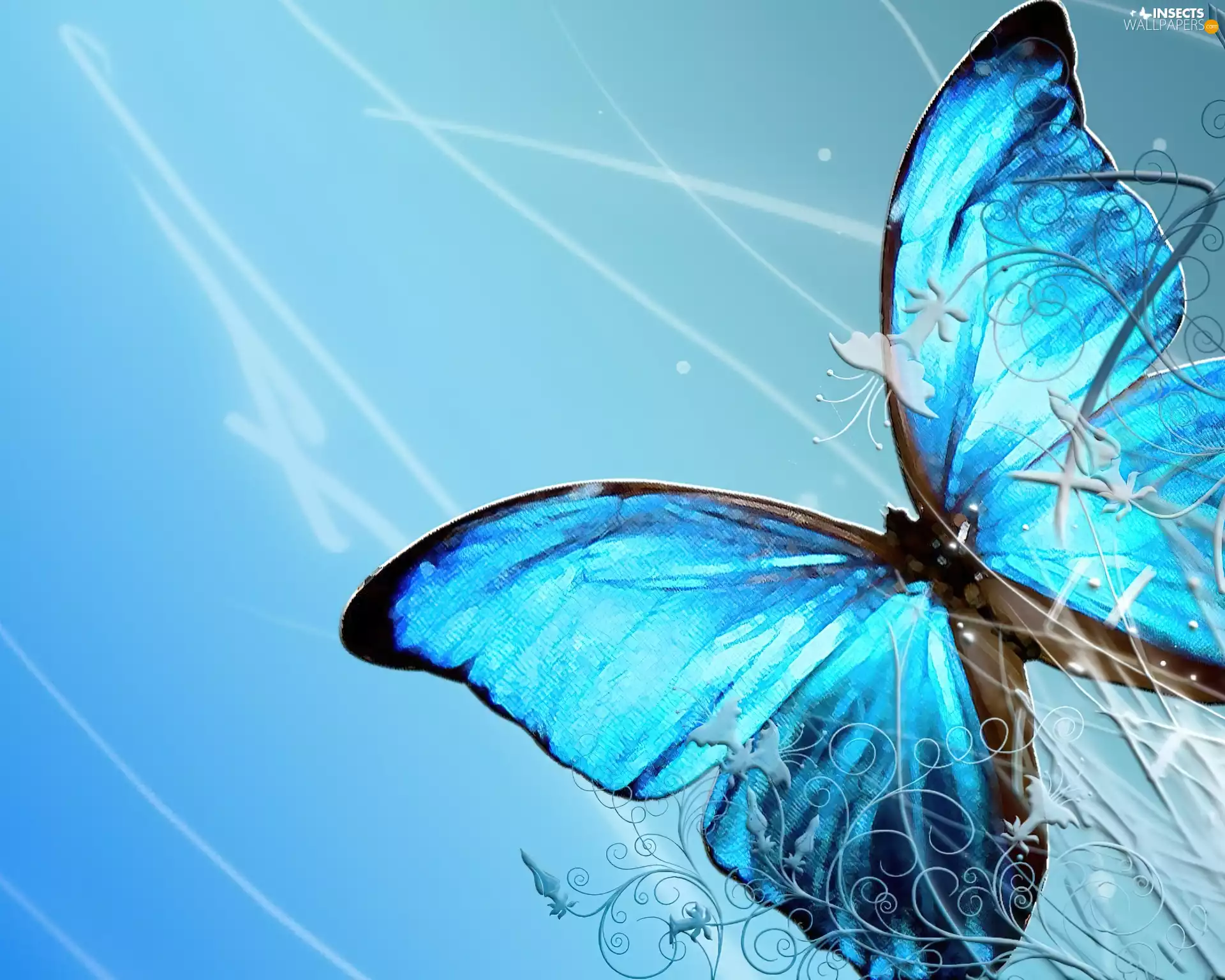 blue, butterfly
