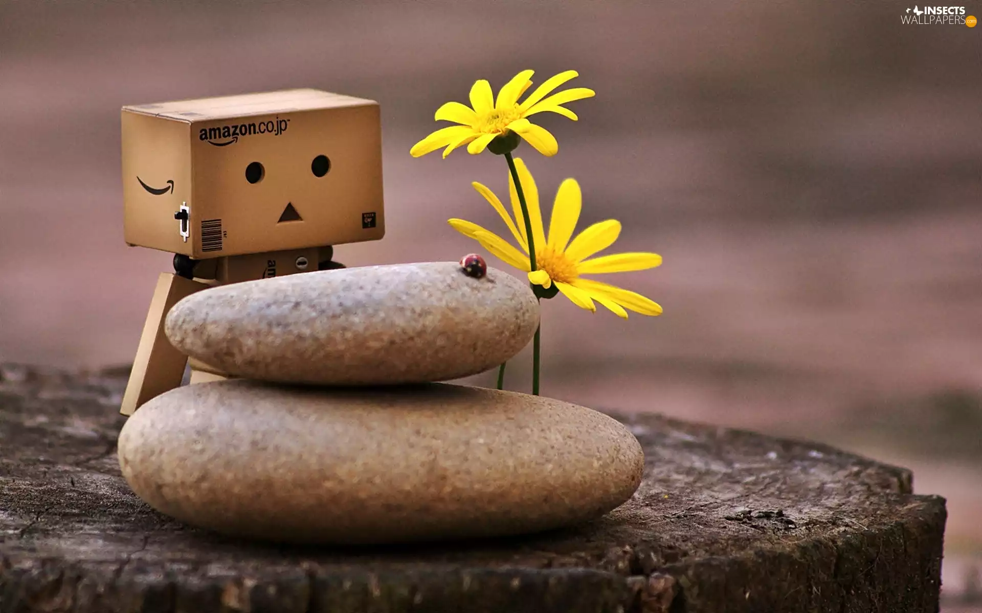 Flowers, trunk, ladybird, blur, Stones, Danbo