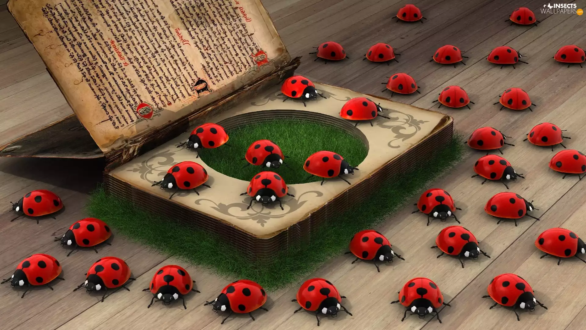 boarding, ladybugs, Book