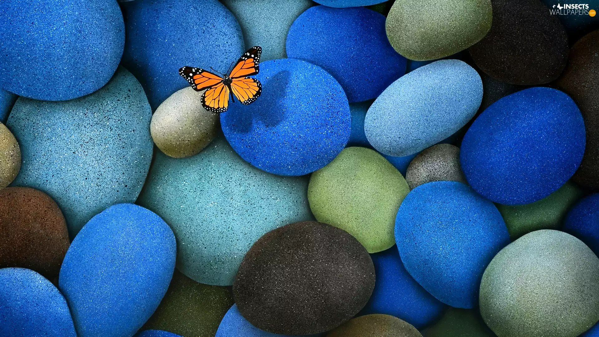 Stones, Grey, butterfly, Brown, Blue, Orange, Monarch