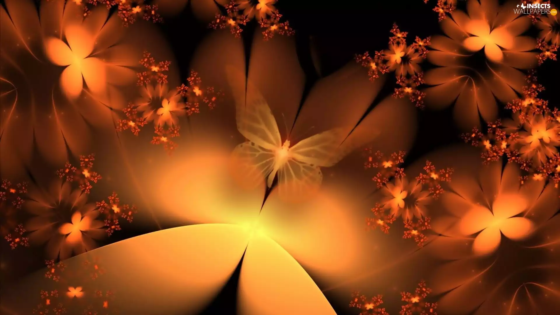 butterflies, abstraction, Flowers