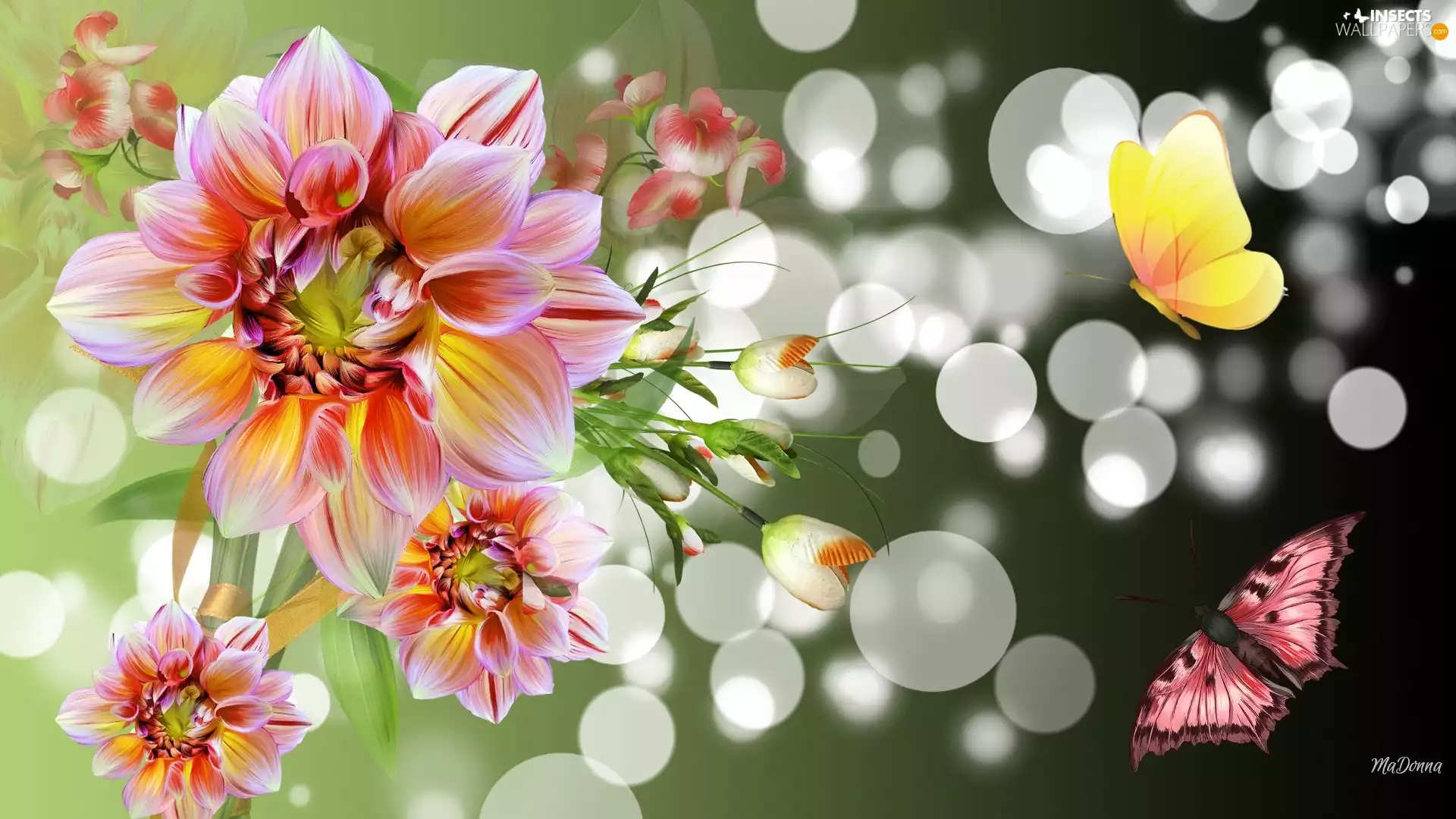 Flowers, Bokeh, Art, butterflies