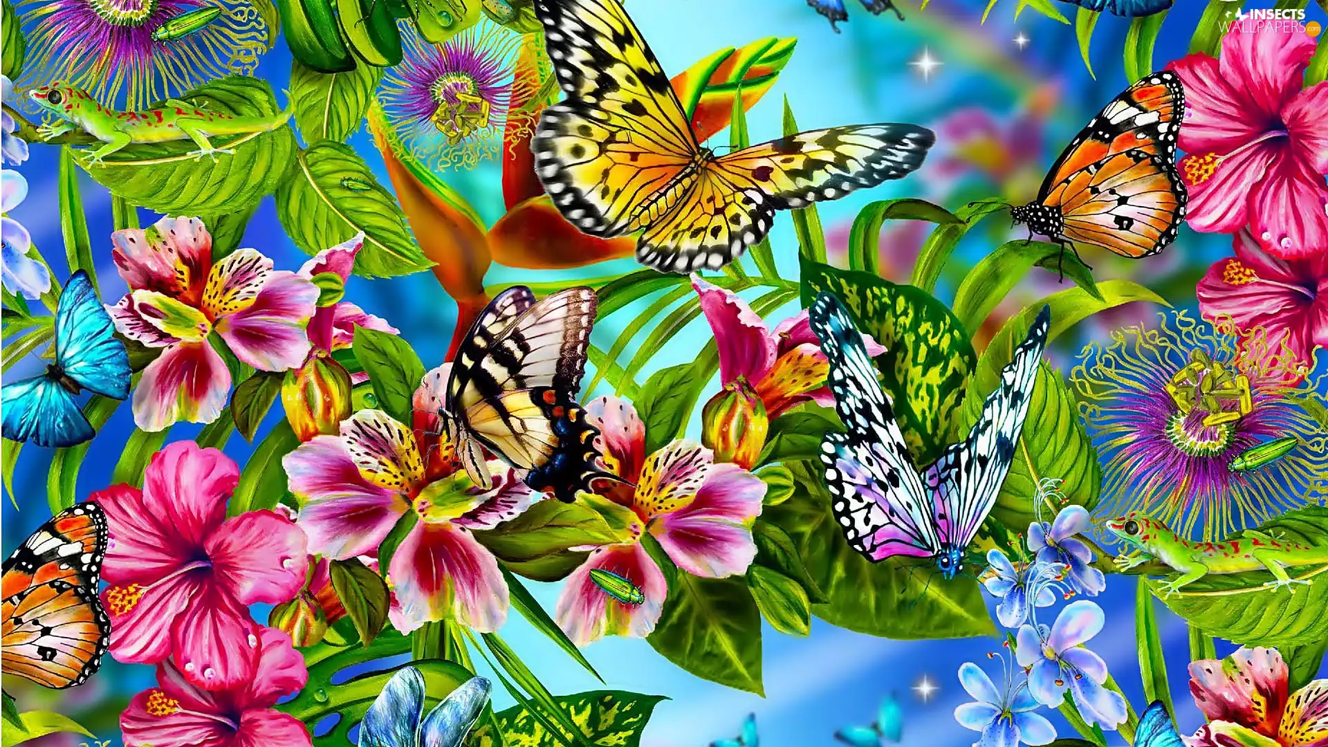 butterflies, color, Flowers