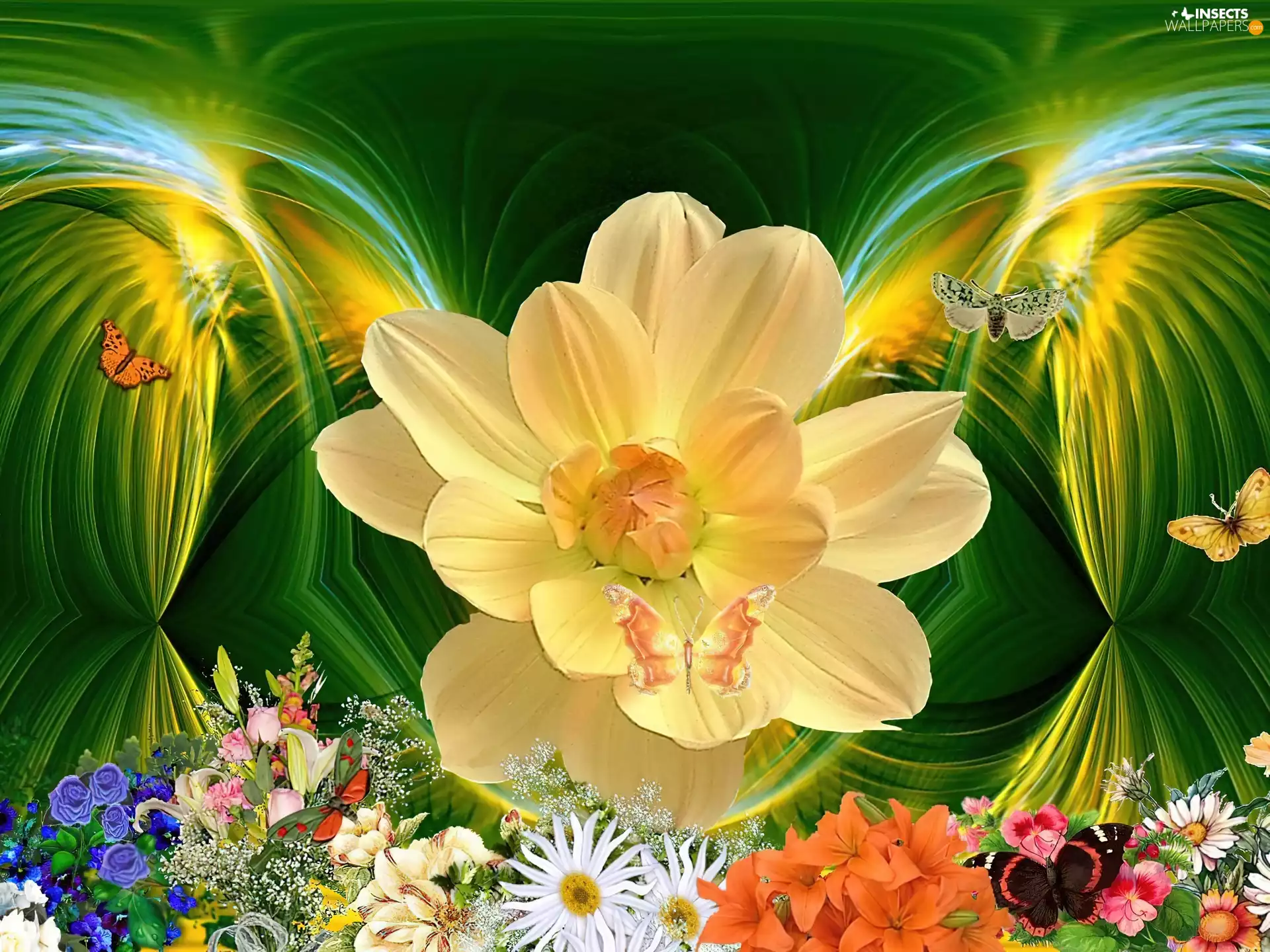 butterflies, Garden, Flowers