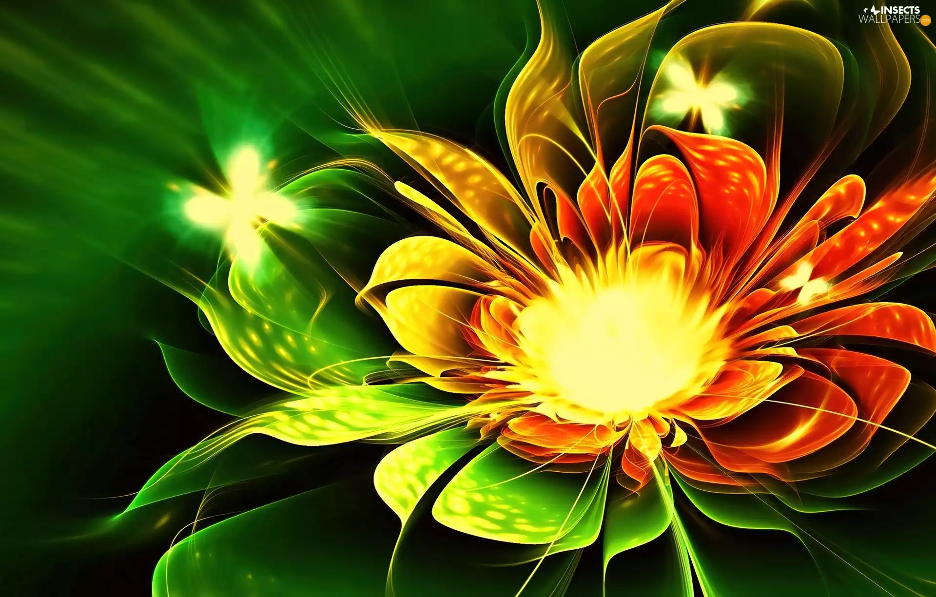 color, butterflies, Fractalius, Colourfull Flowers