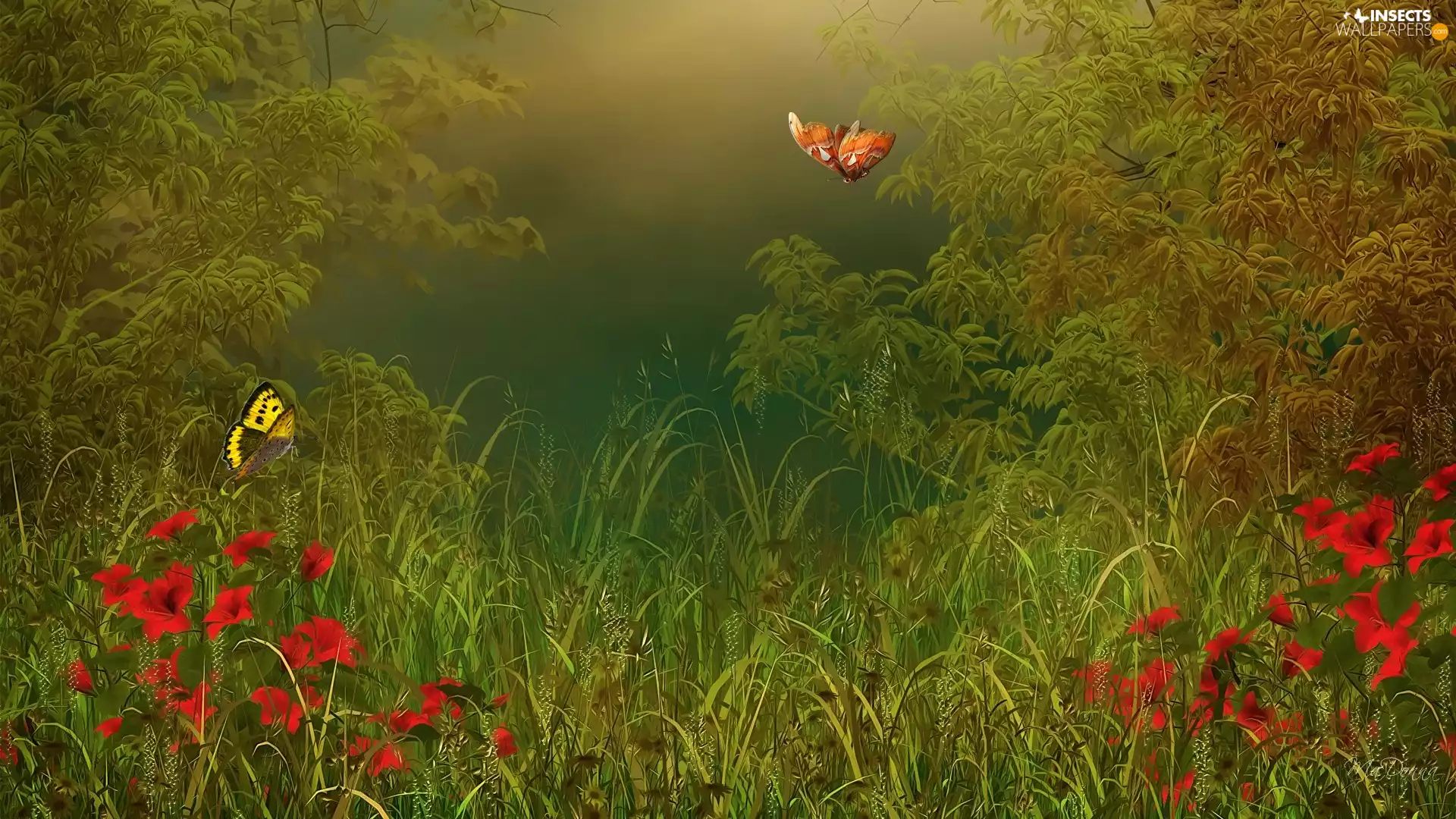 graphics, lilies, grass, butterflies