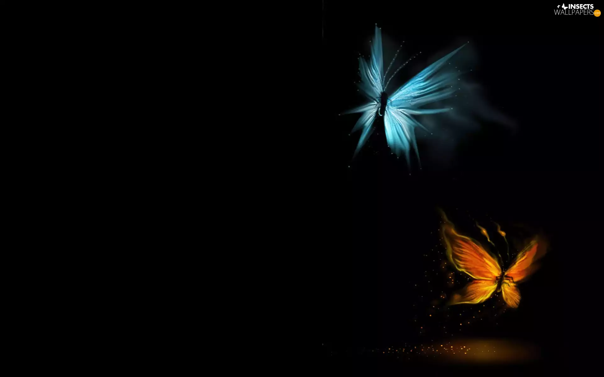 butterflies, graphics