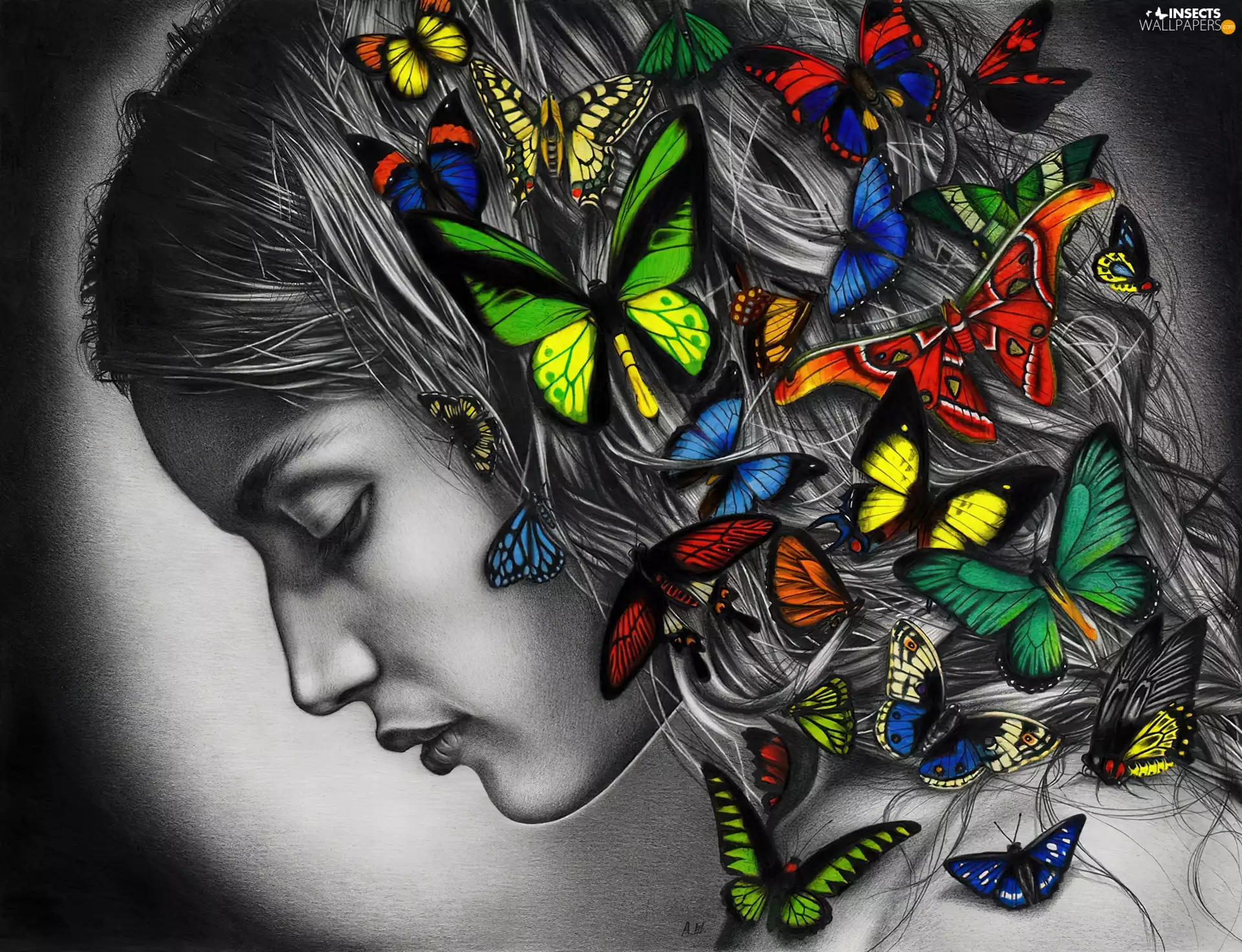 butterflies, girl, Hair