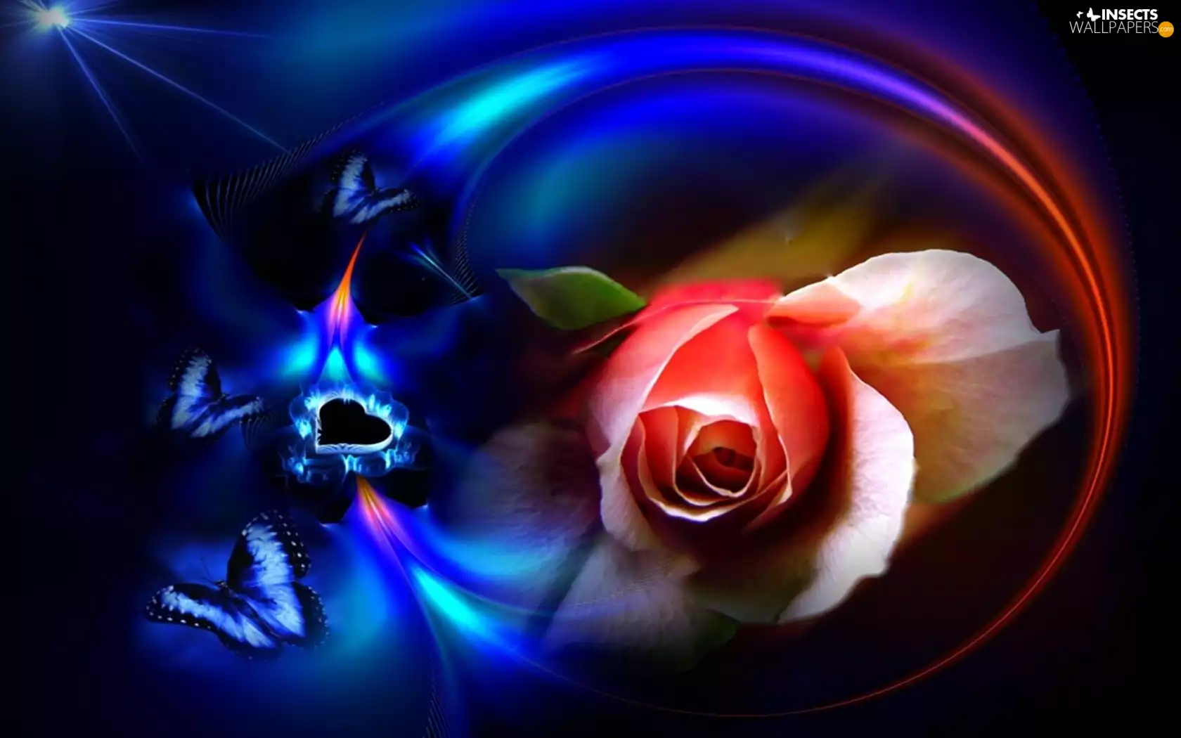 Heart teddybear, rose, butterflies