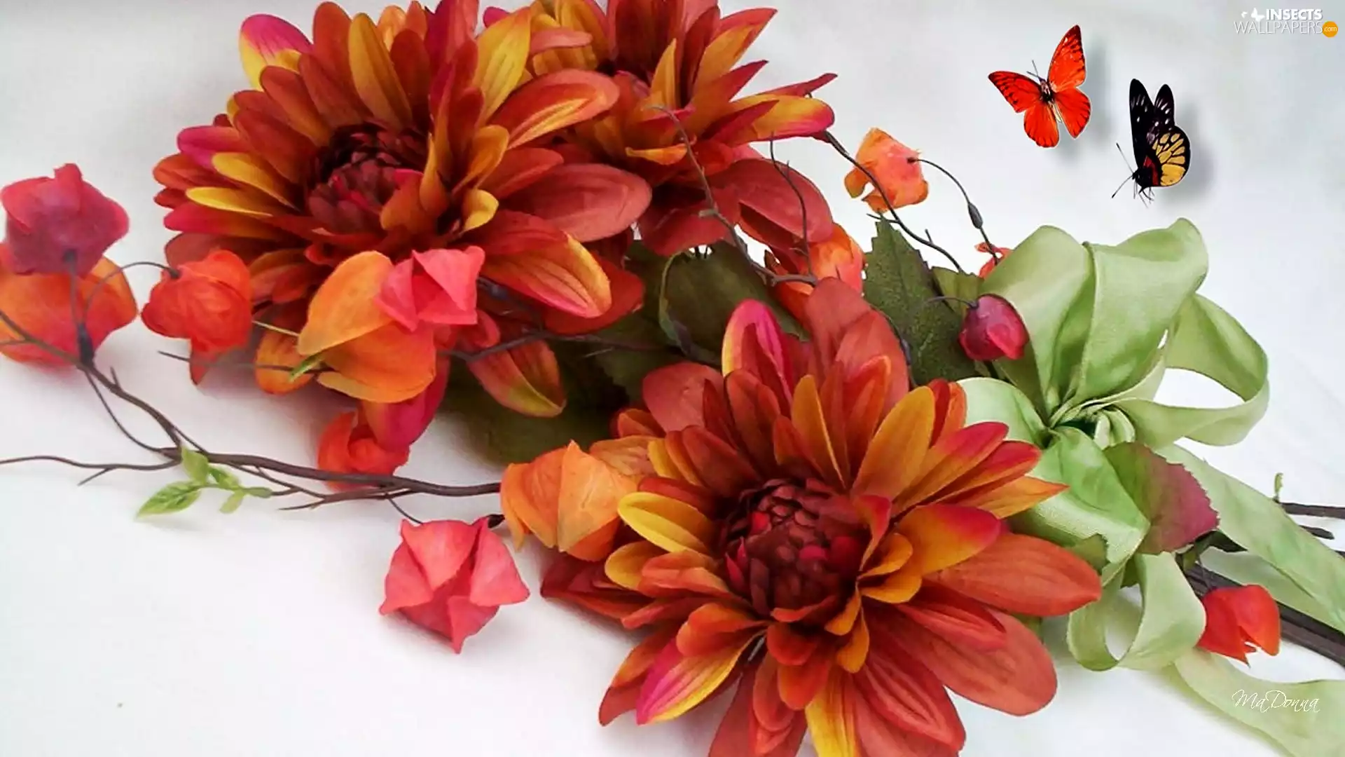 butterflies, dahlias, physalis
