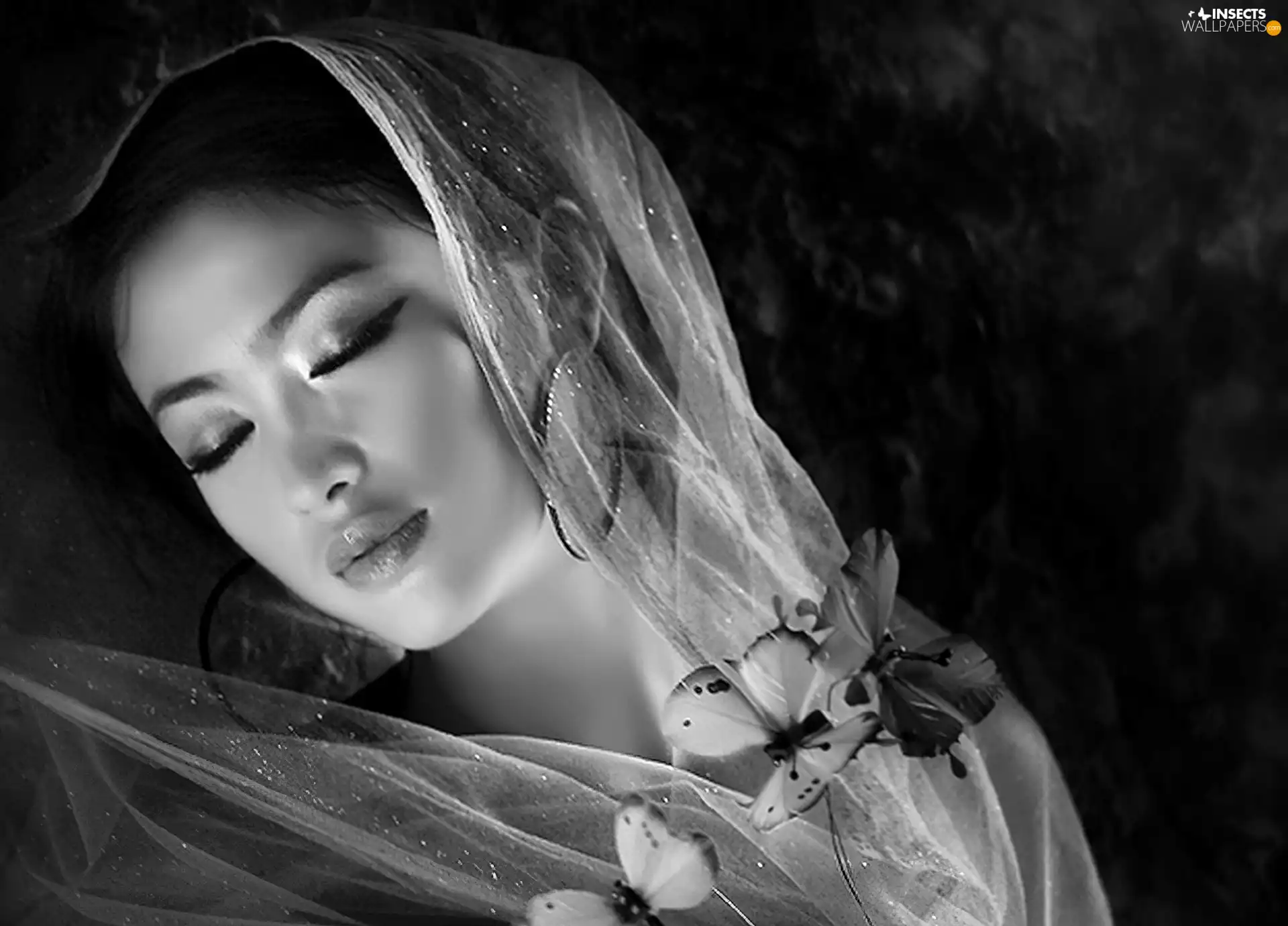 butterflies, Women, shawl