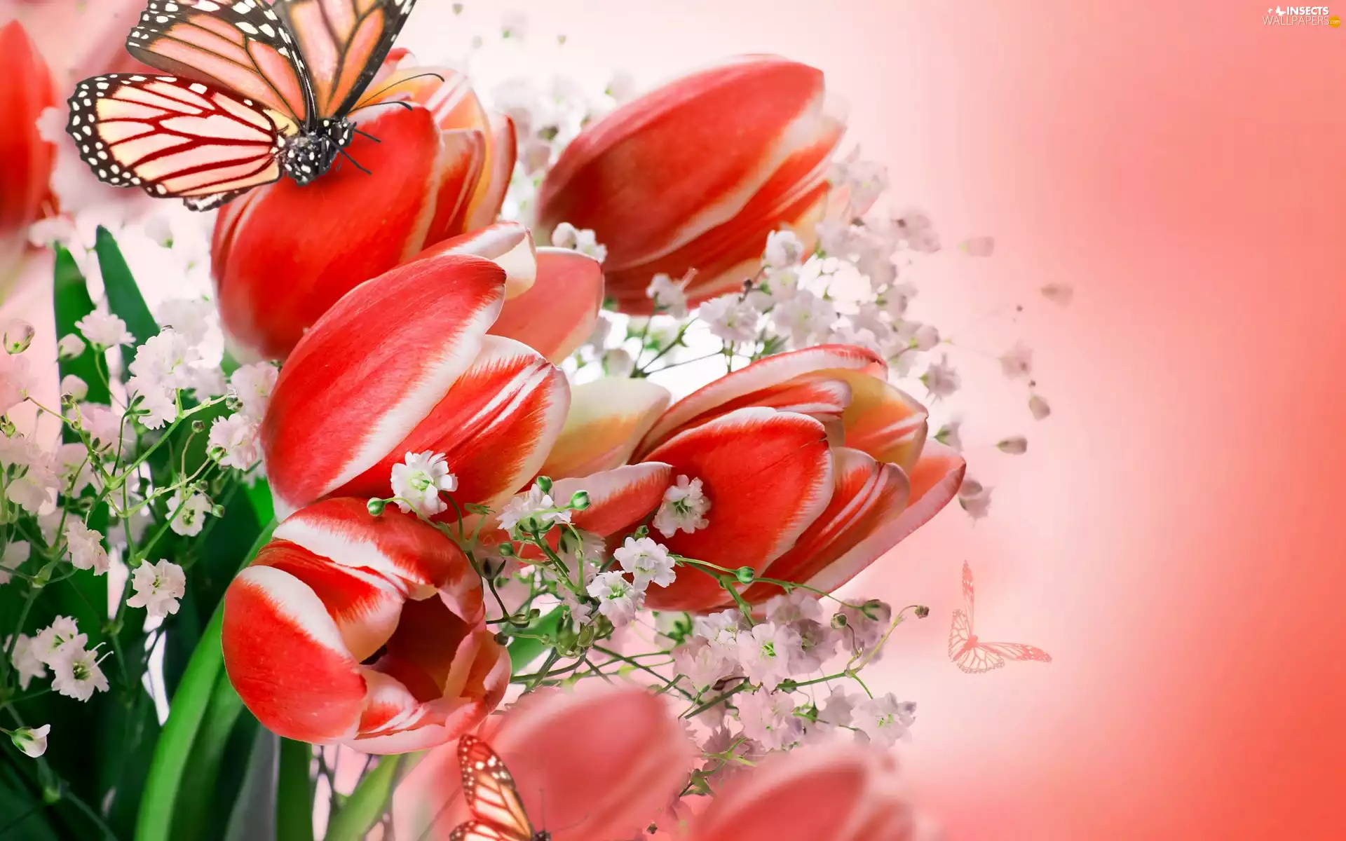 butterflies, bouquet, tulips