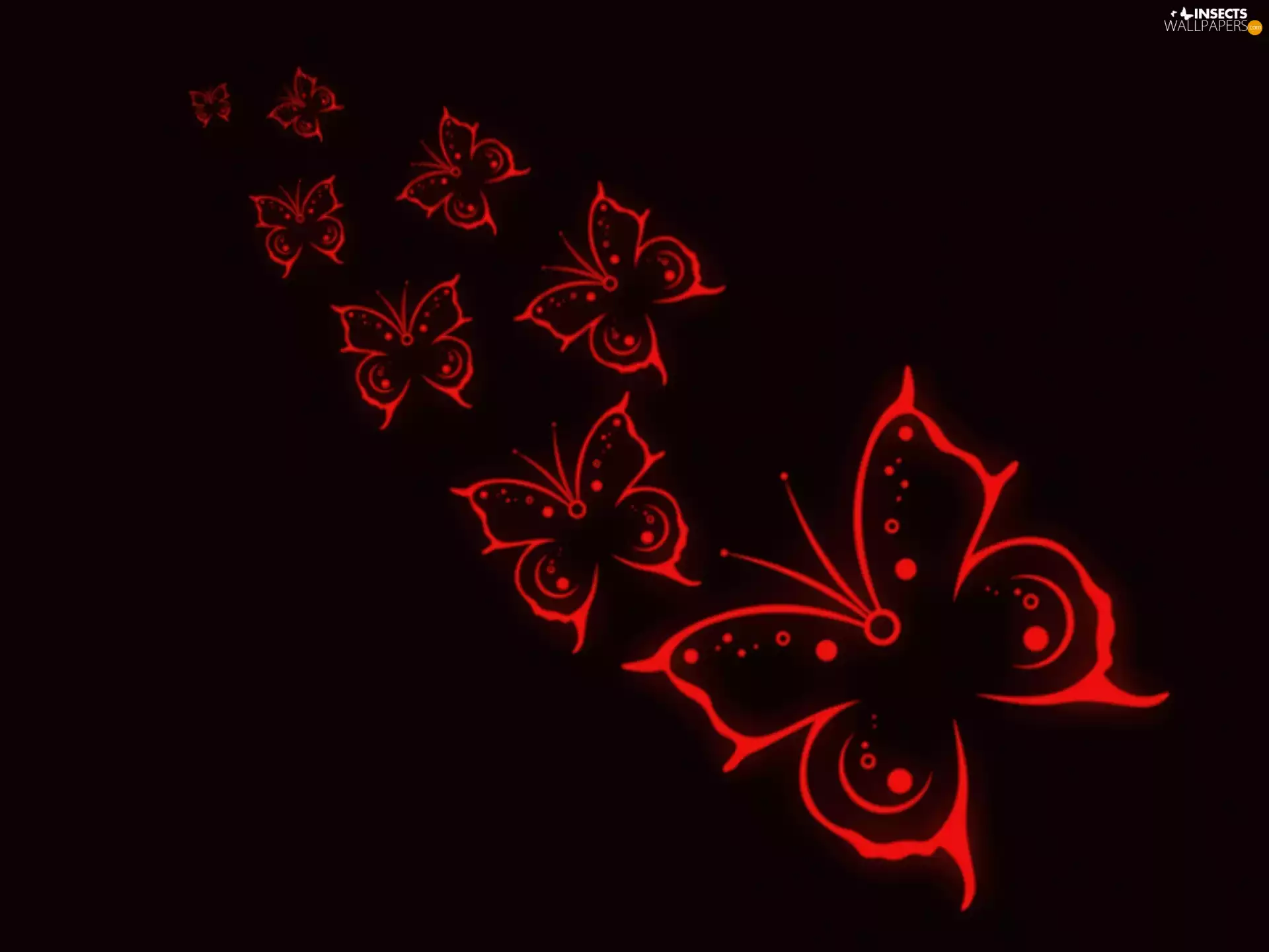butterflies