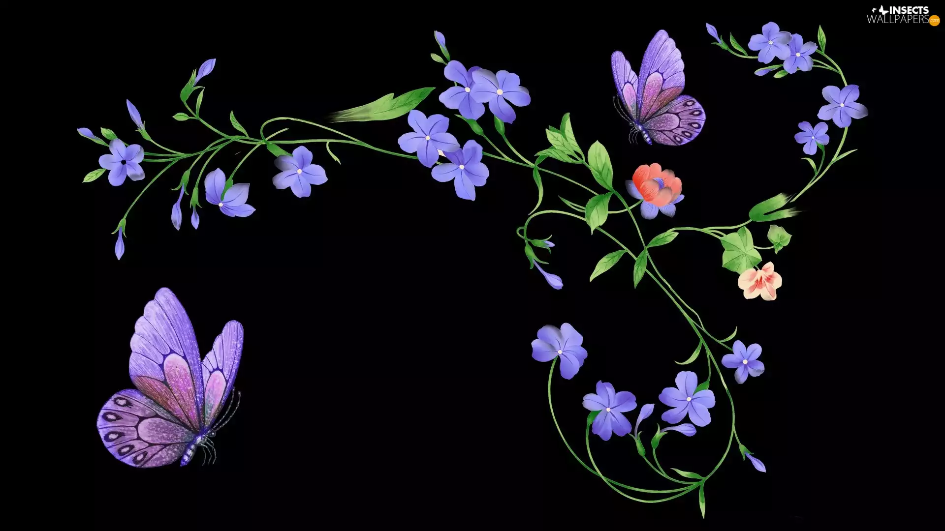 2D Graphics, Flowers, butterfly