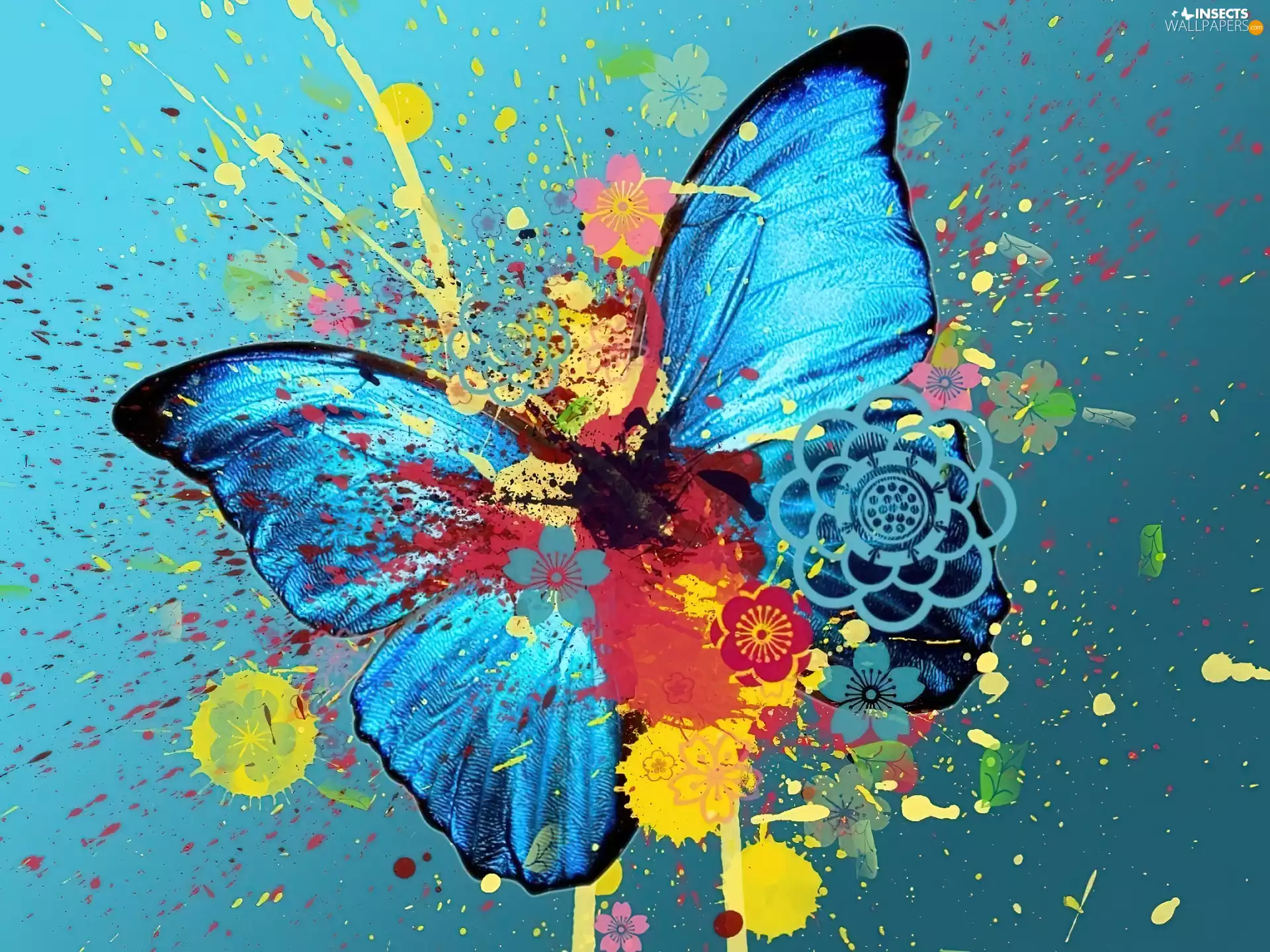 butterfly, abstraction