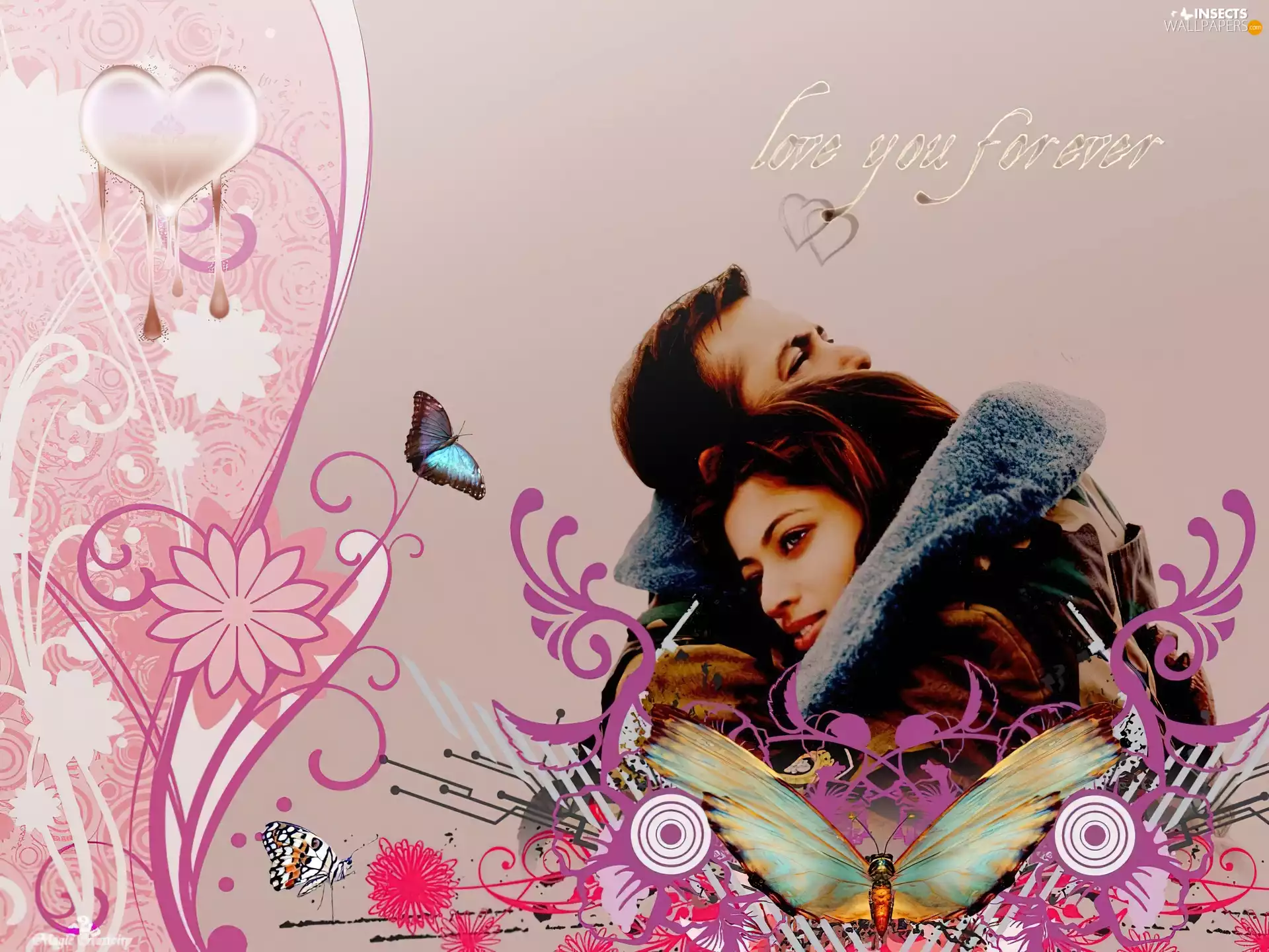 butterfly, lovers, color