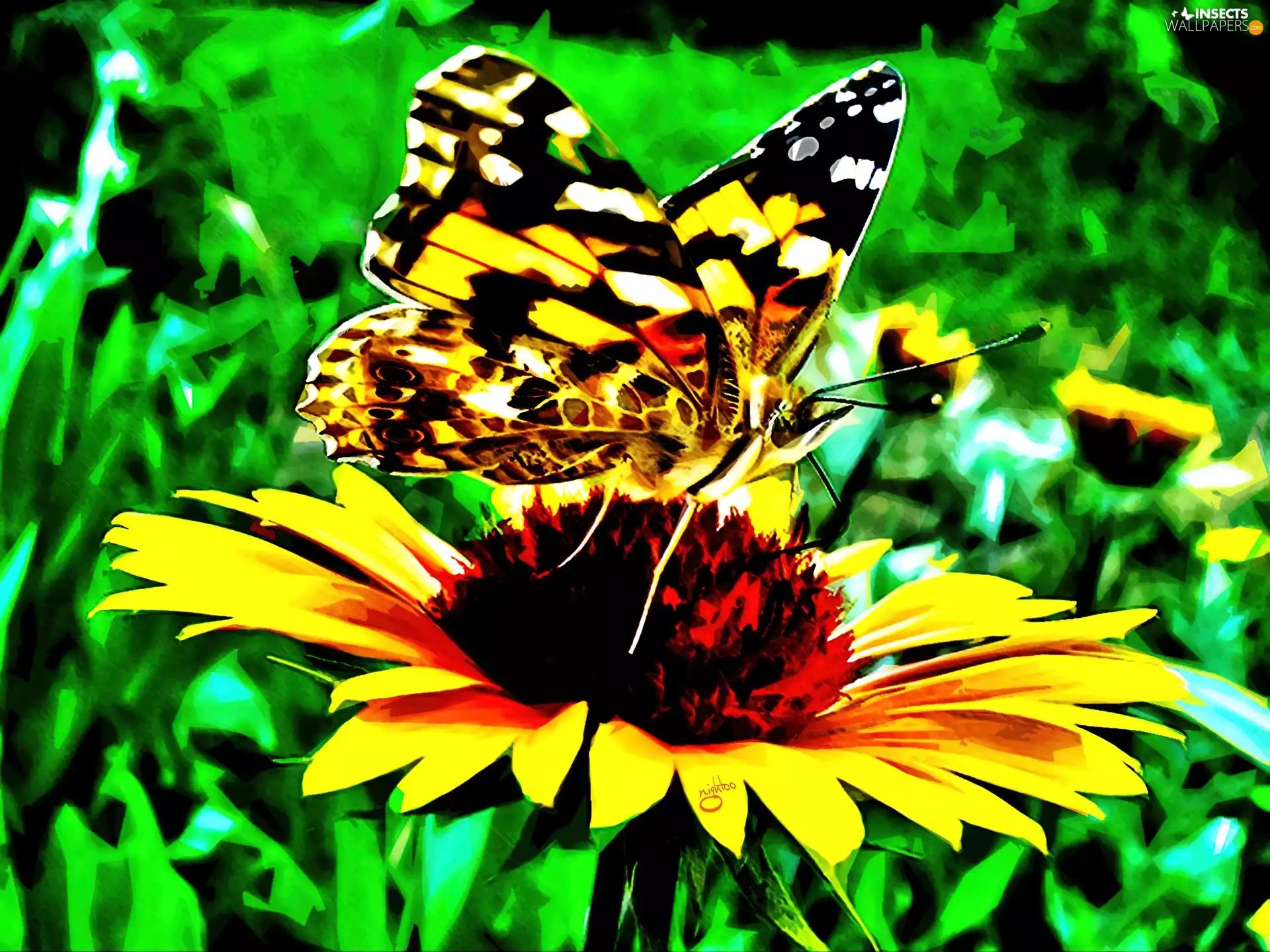 Colourfull Flowers, color, butterfly