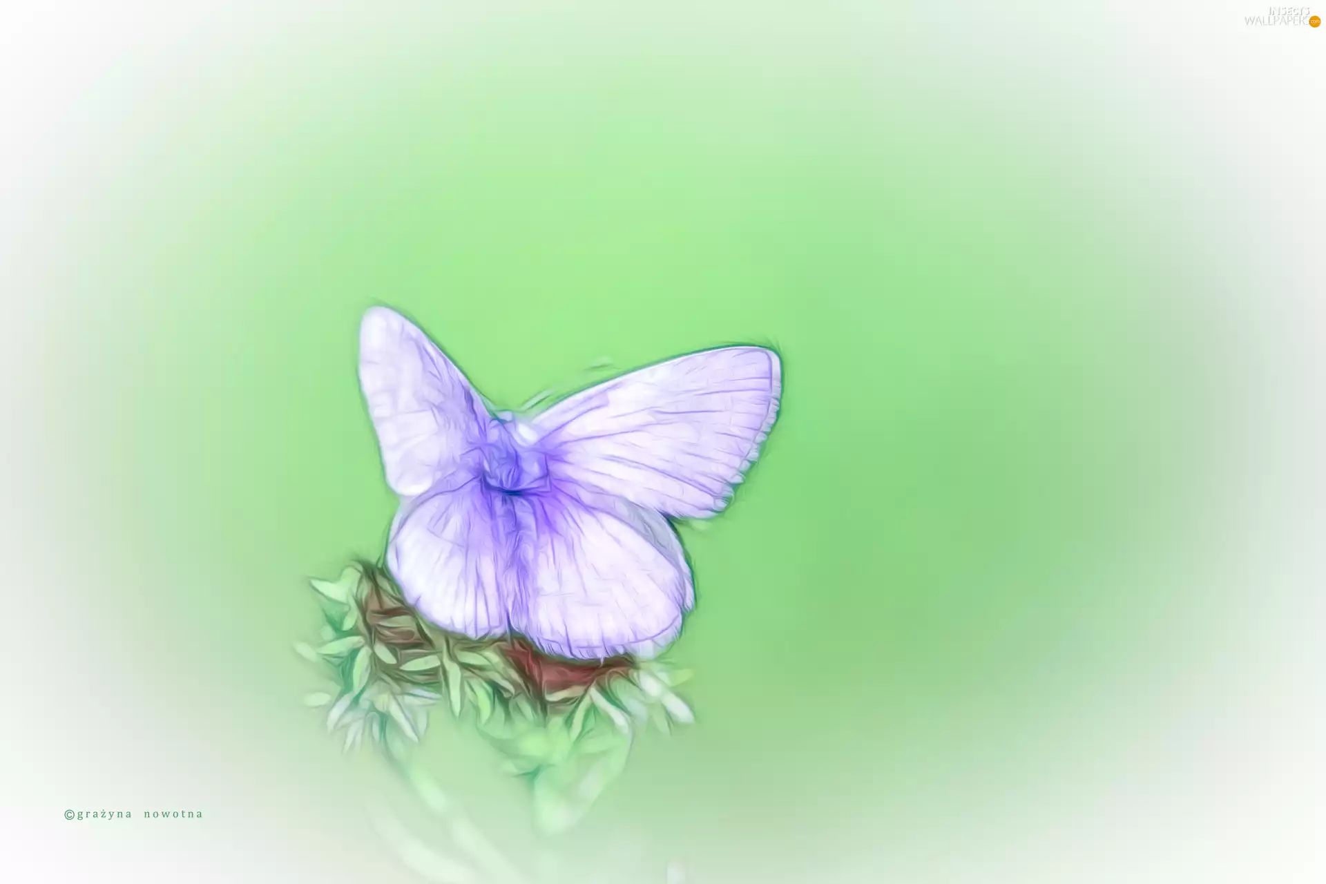 butterfly, Fractalius