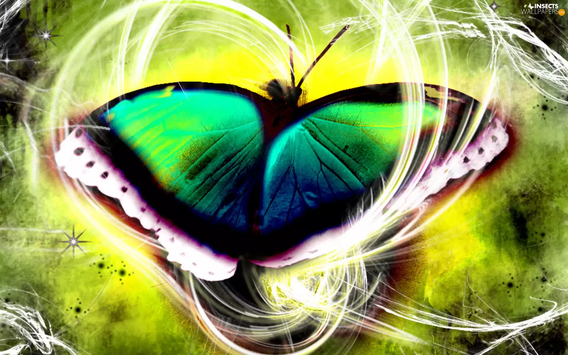 butterfly, graphics