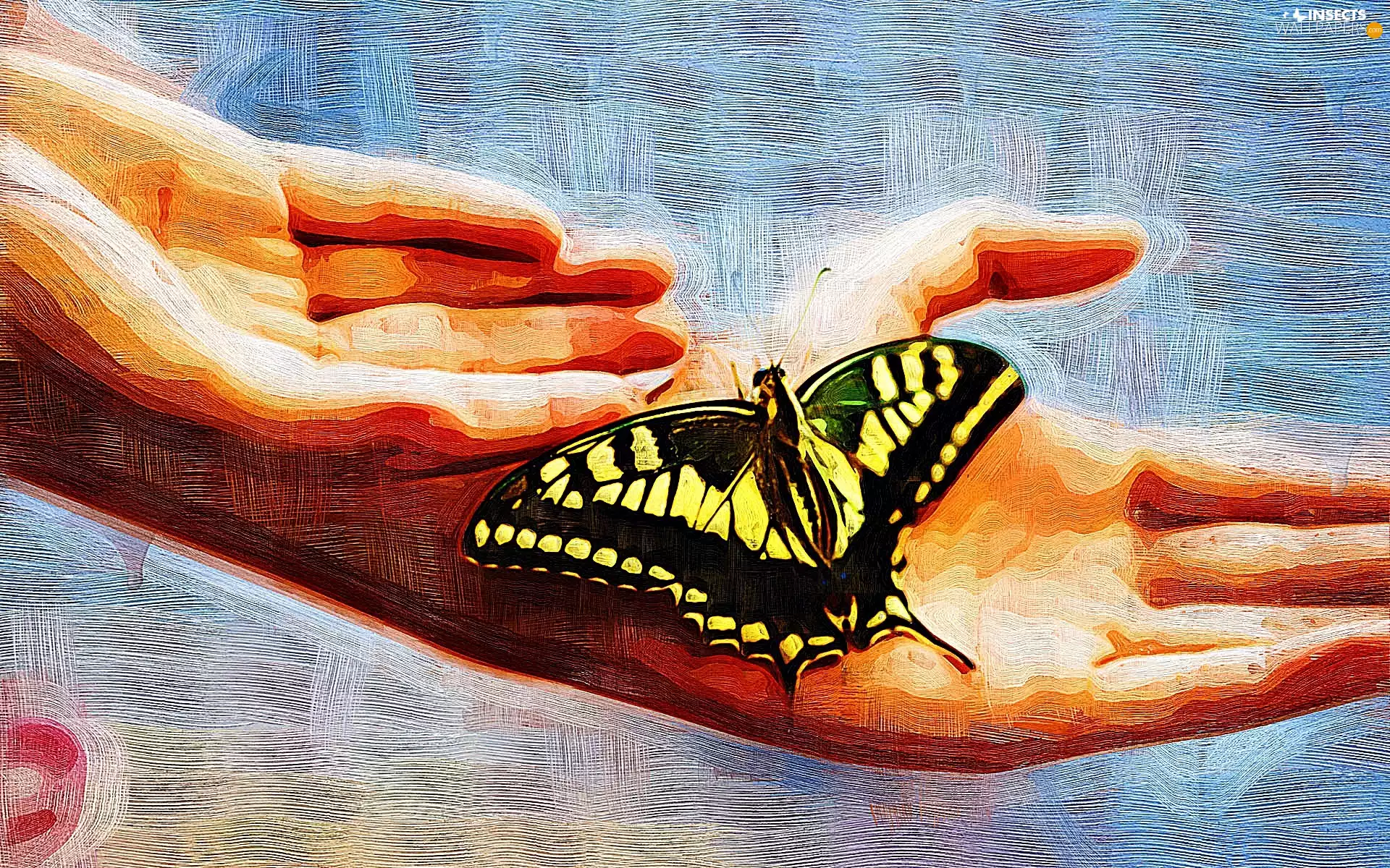 hands, picture, oil, butterfly