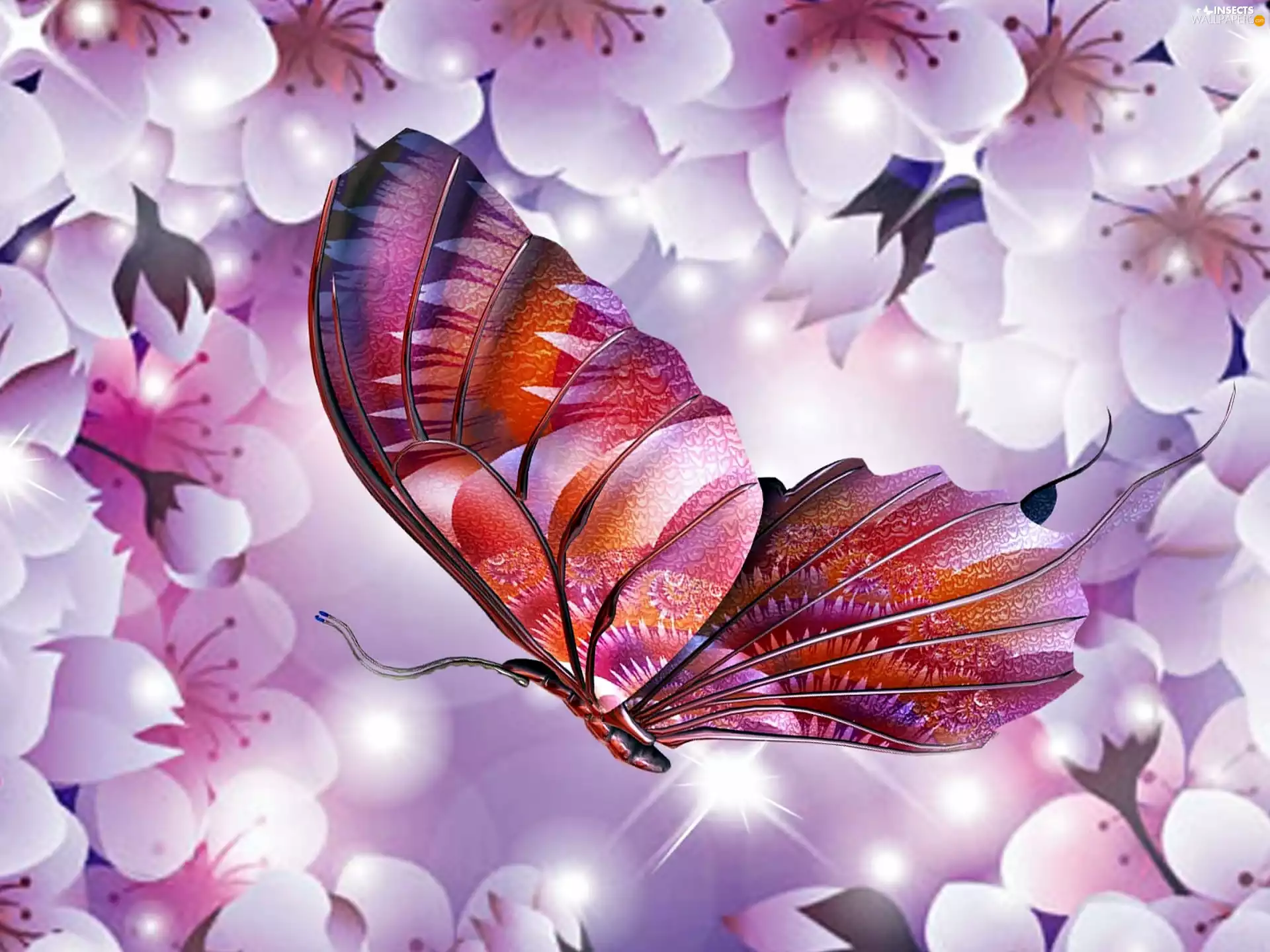 butterfly, Flowers, kirsch