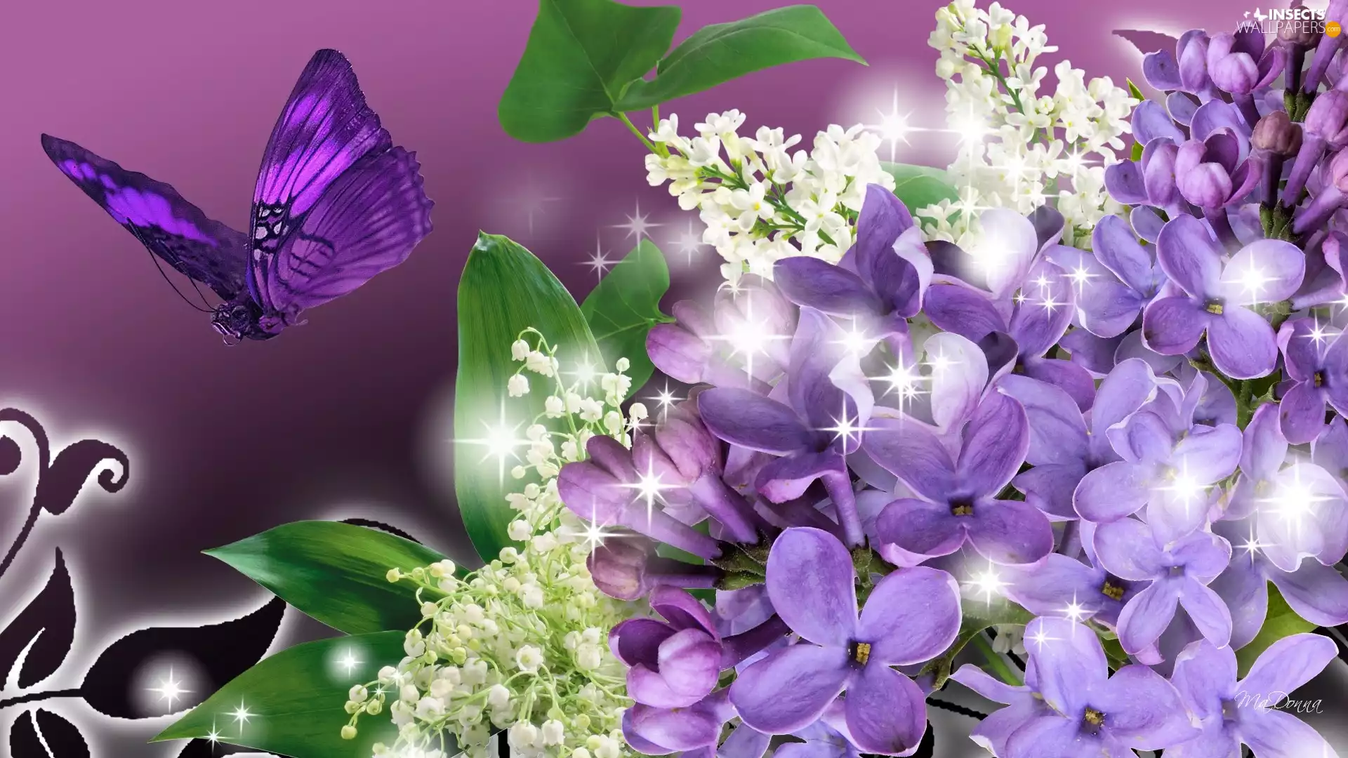 butterfly, Lilacs, lilies