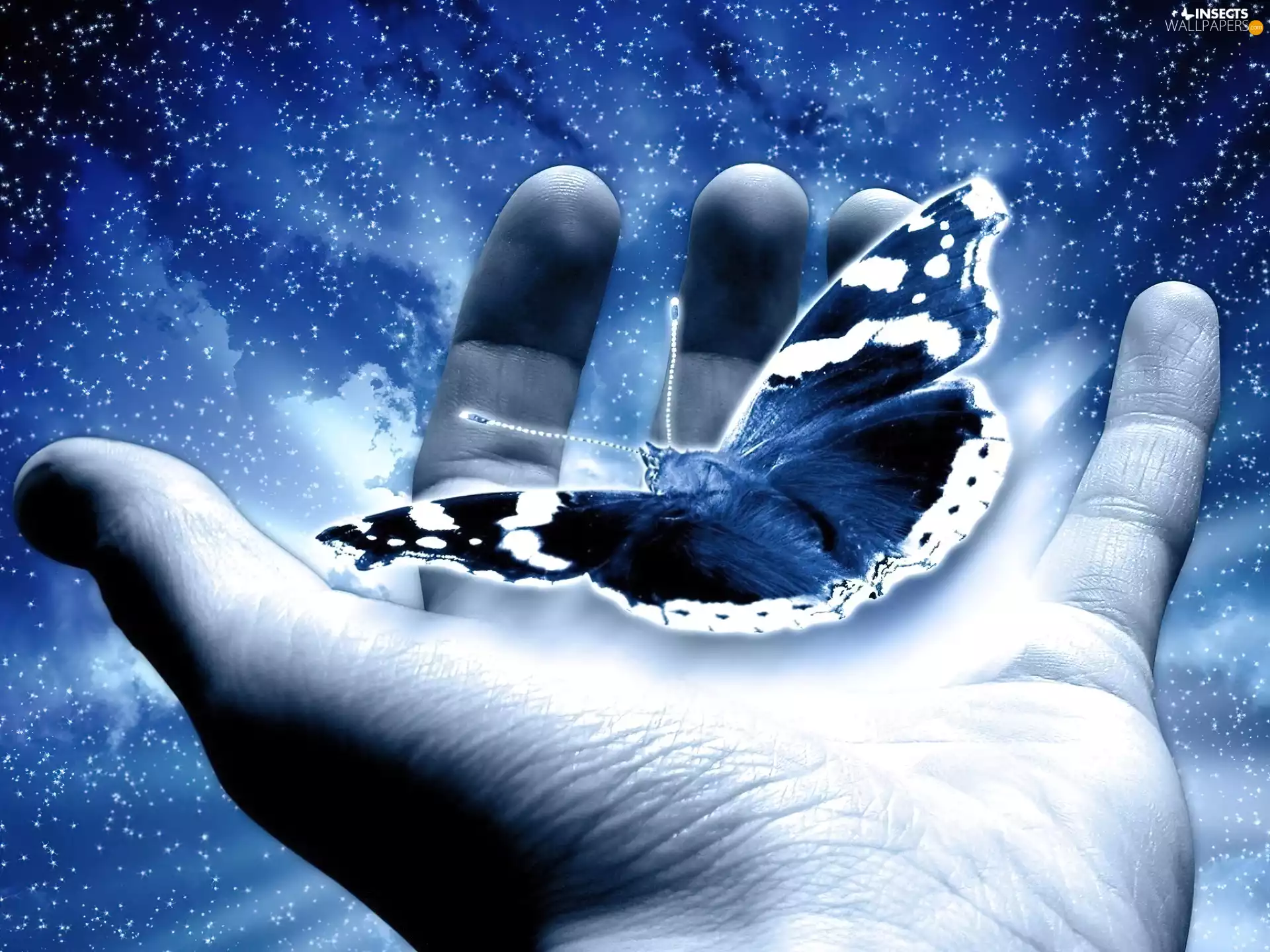 butterfly, hand, man