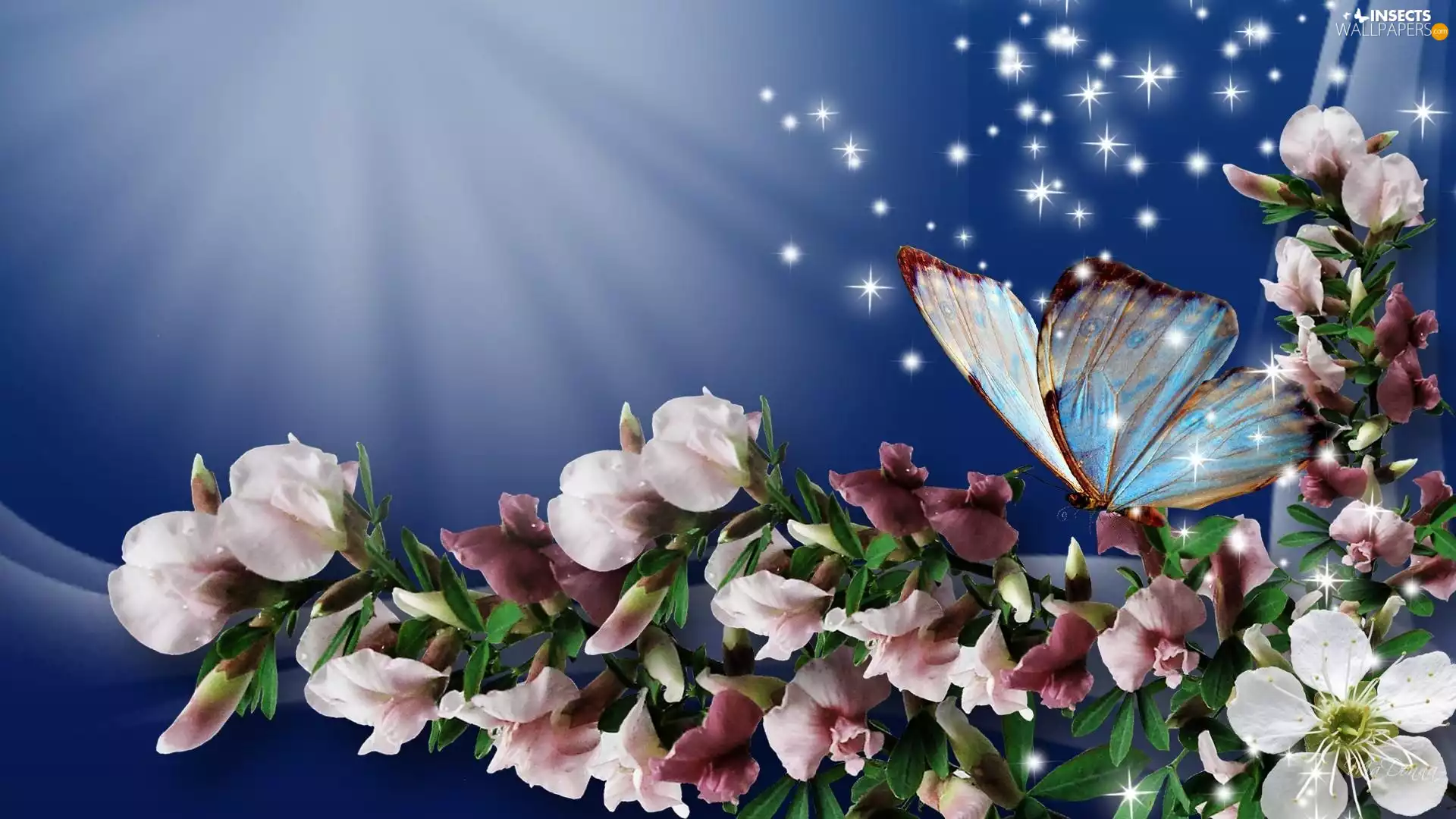 butterfly, fragrant, peas