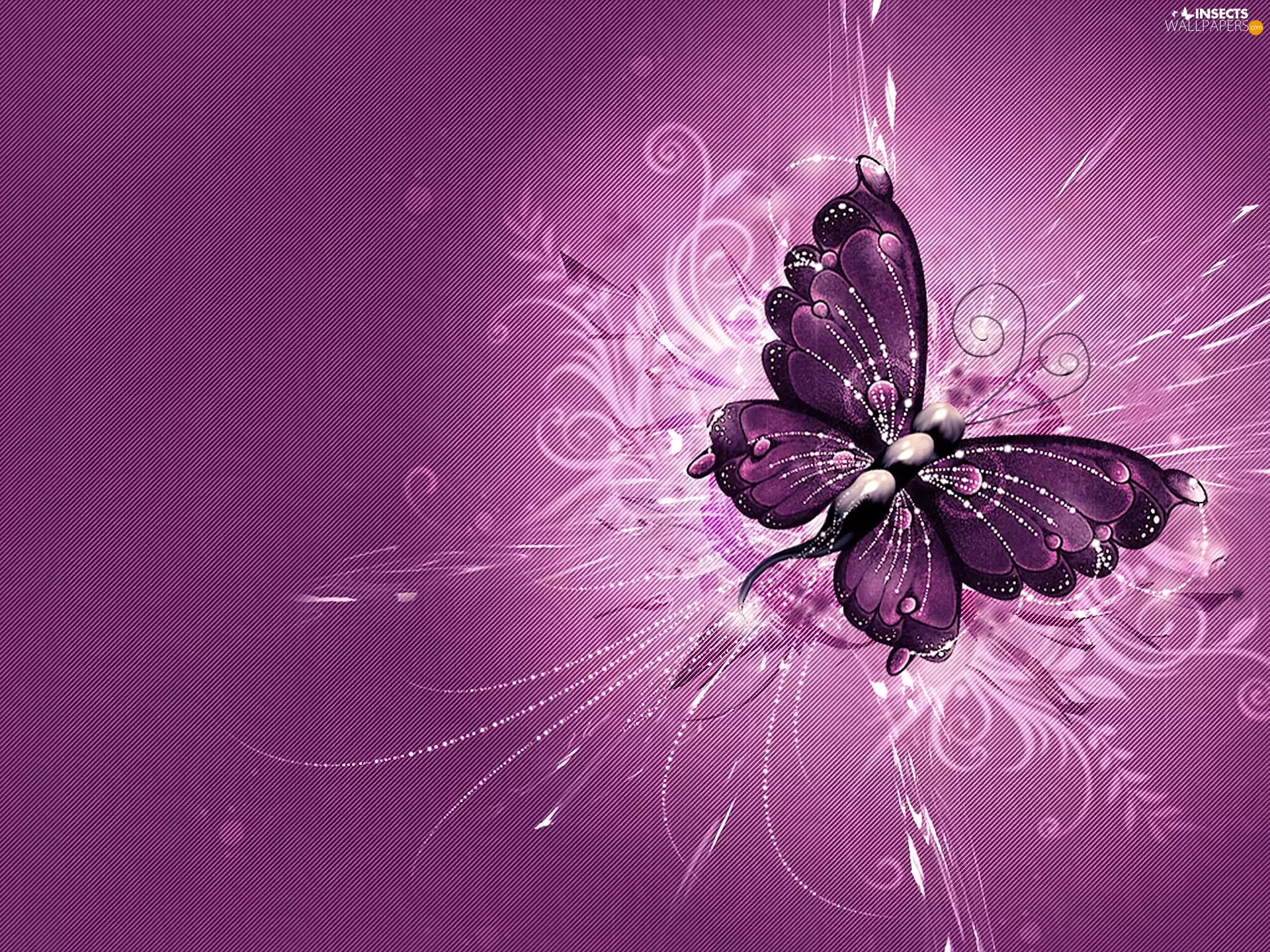 butterfly, abstraction, Pink