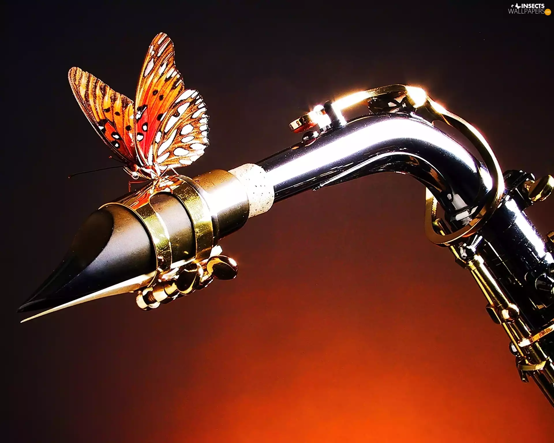 butterfly, saxophone