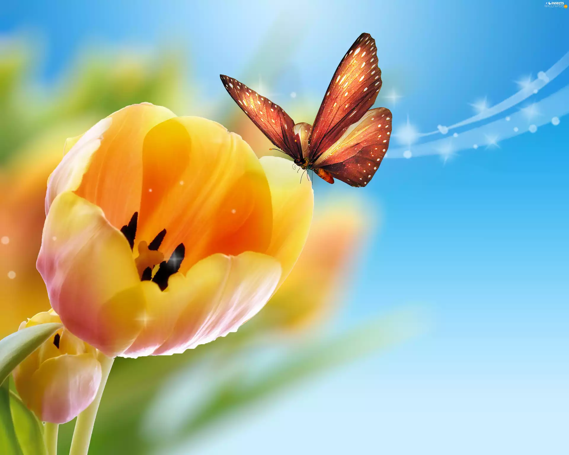 butterfly, Yellow, Tulips