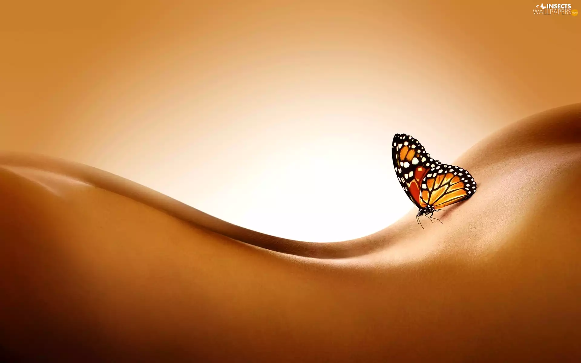 butterfly, Body, Womens