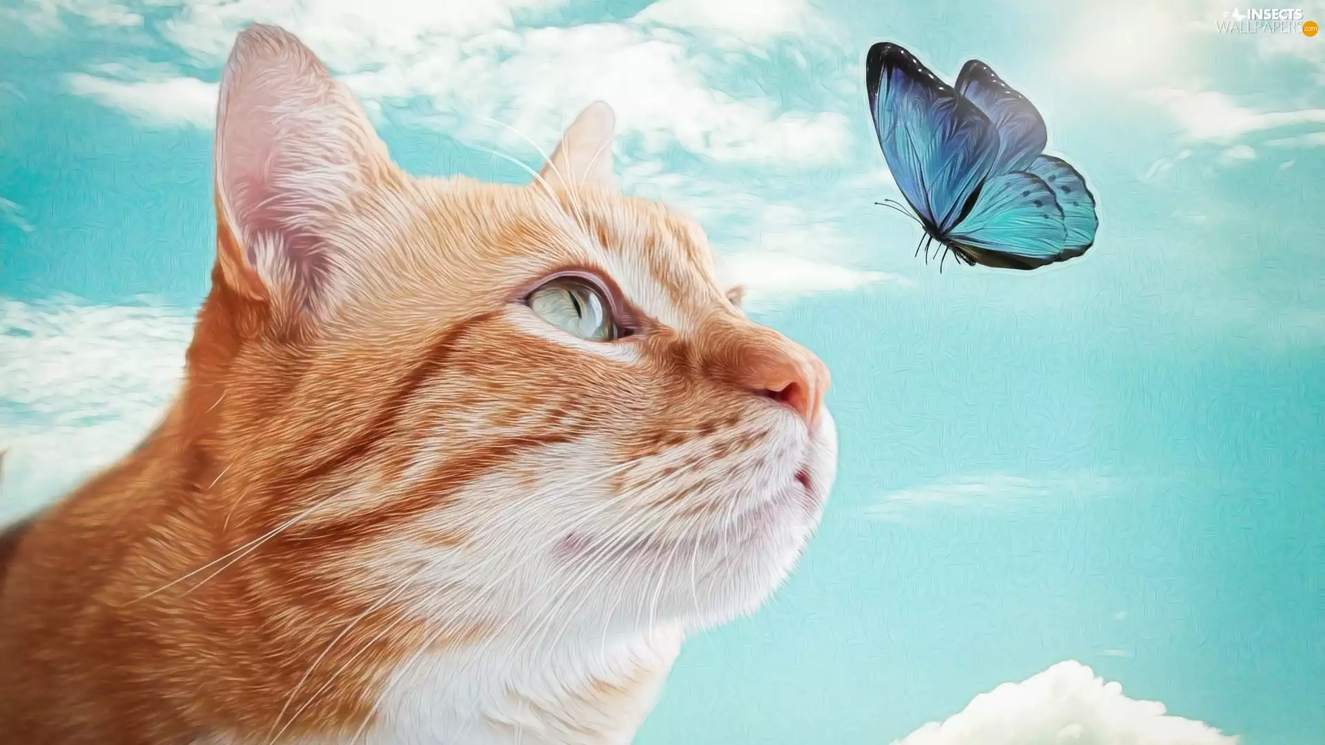 ginger, butterfly, graphics, cat