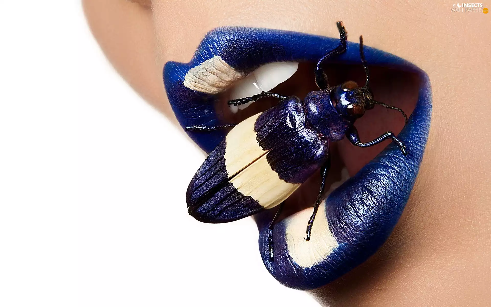 cockchafer, lips, Womens