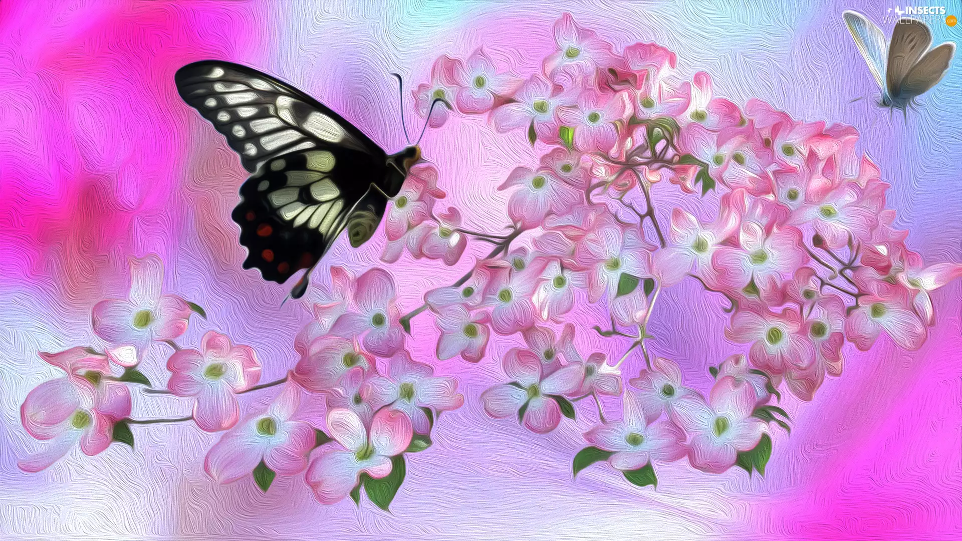 Flowers, Colorful Background, graphics, butterflies