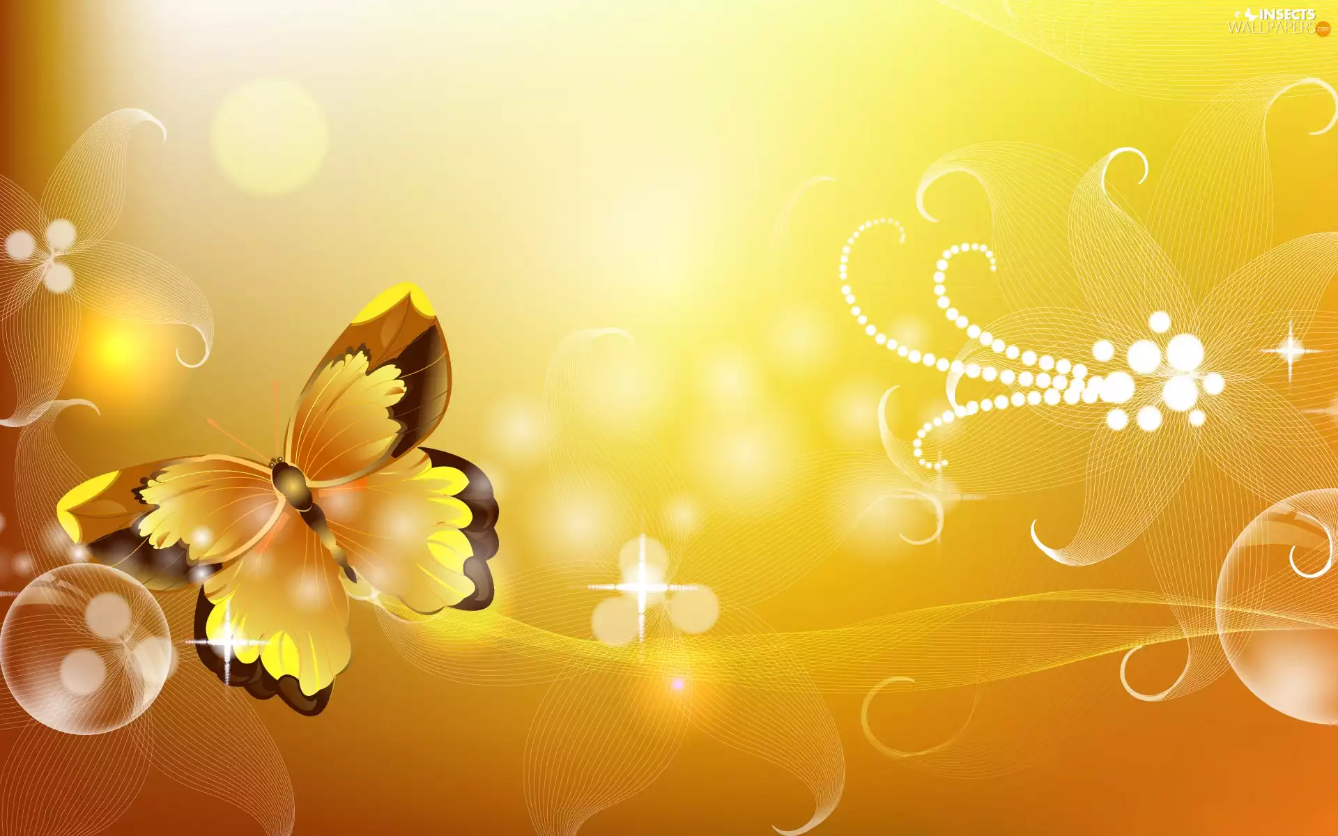 butterfly, yellows, graphics, colors