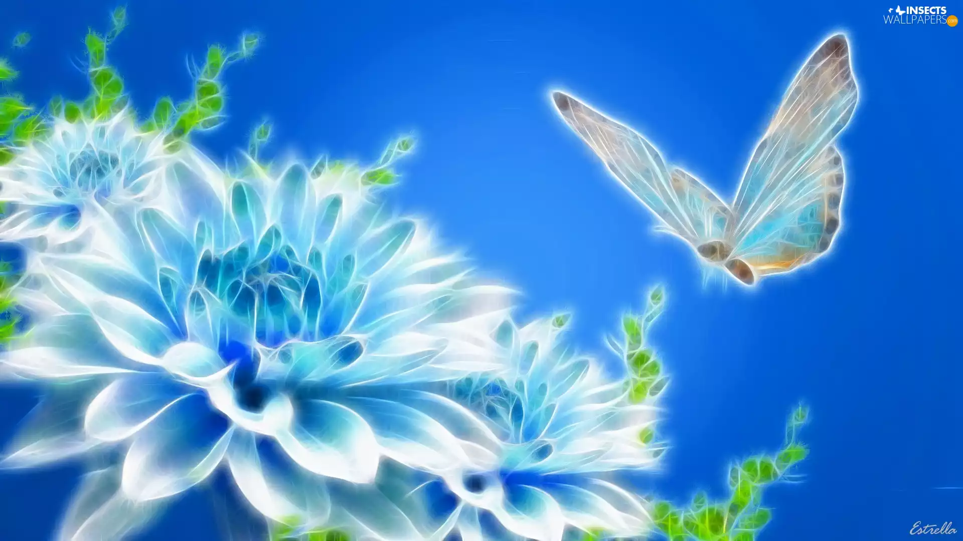 butterfly, 3D, background, Colourfull Flowers, Blue