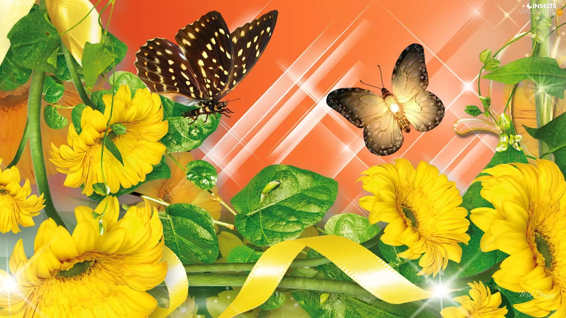 graphics, Computer, Flowers, butterflies, Yellow